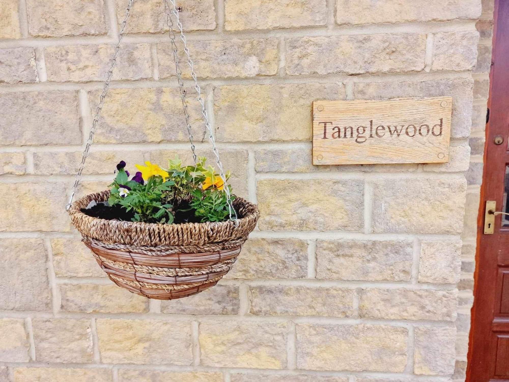Tanglewood view 2