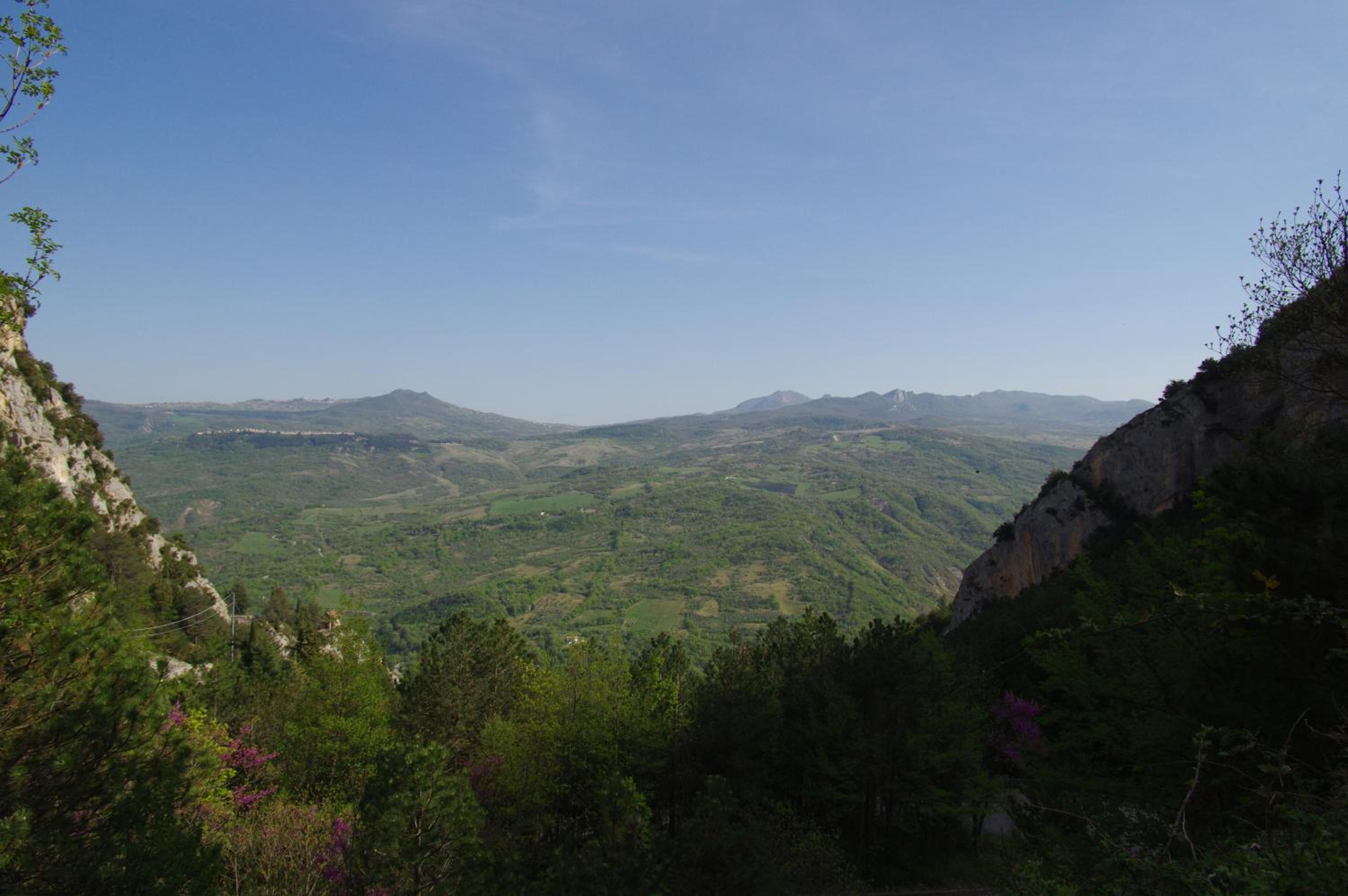 Photo 44