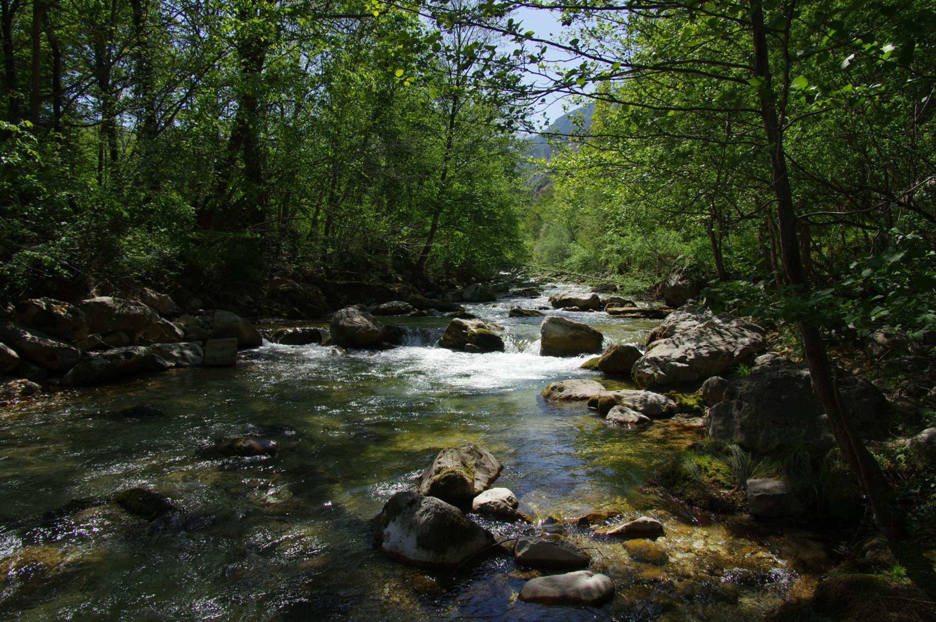 Photo 28