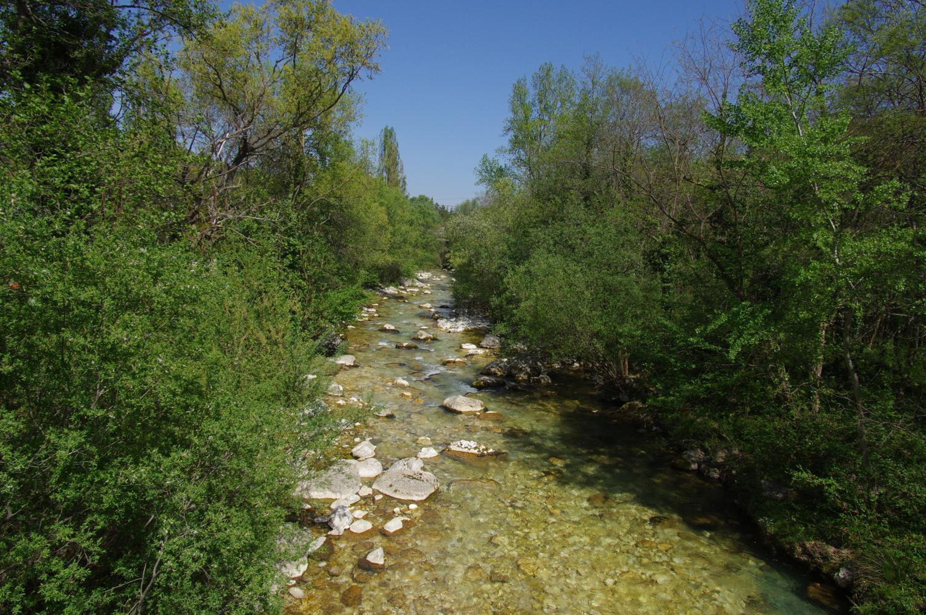 Photo 32
