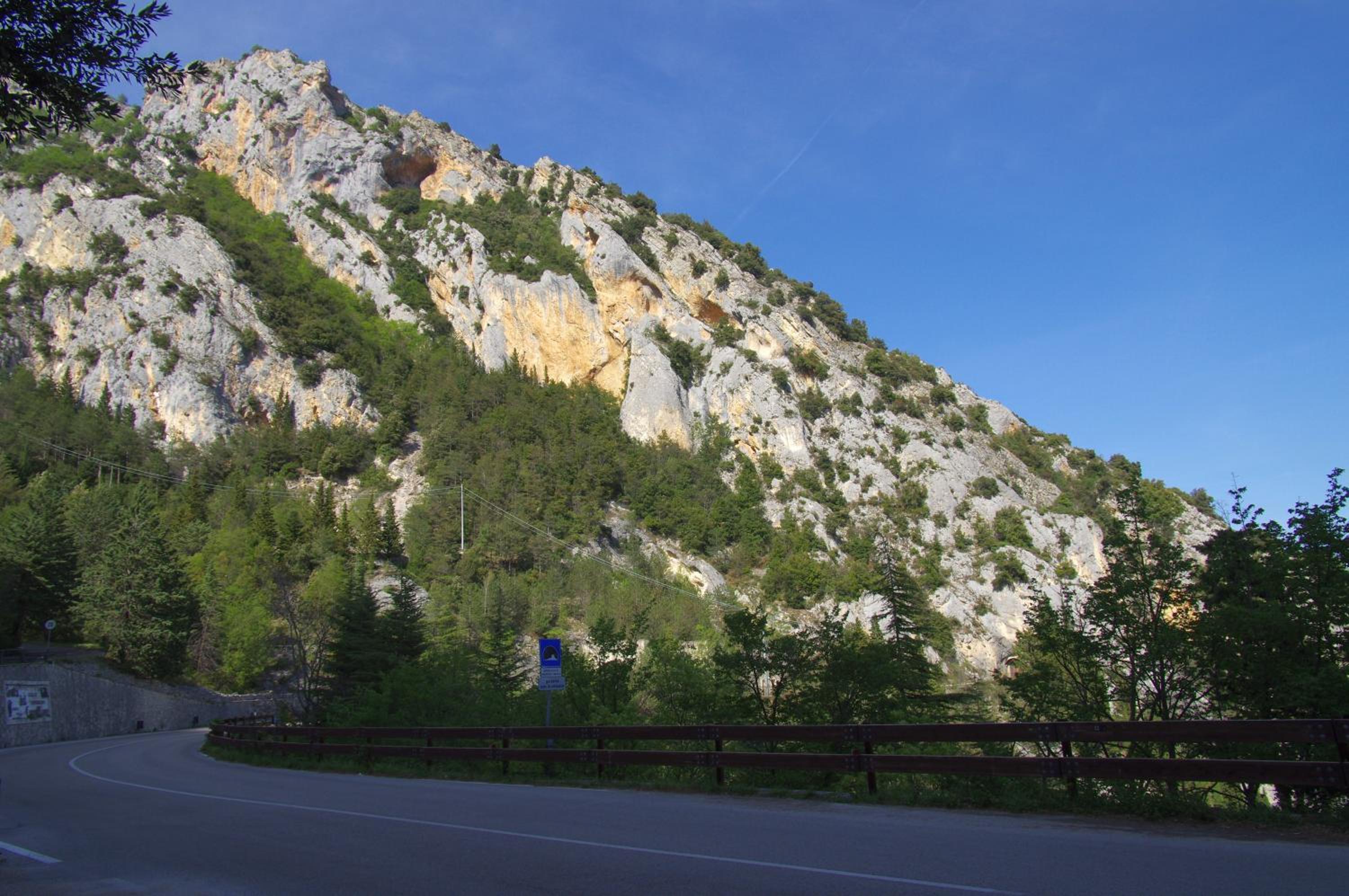 Photo 43