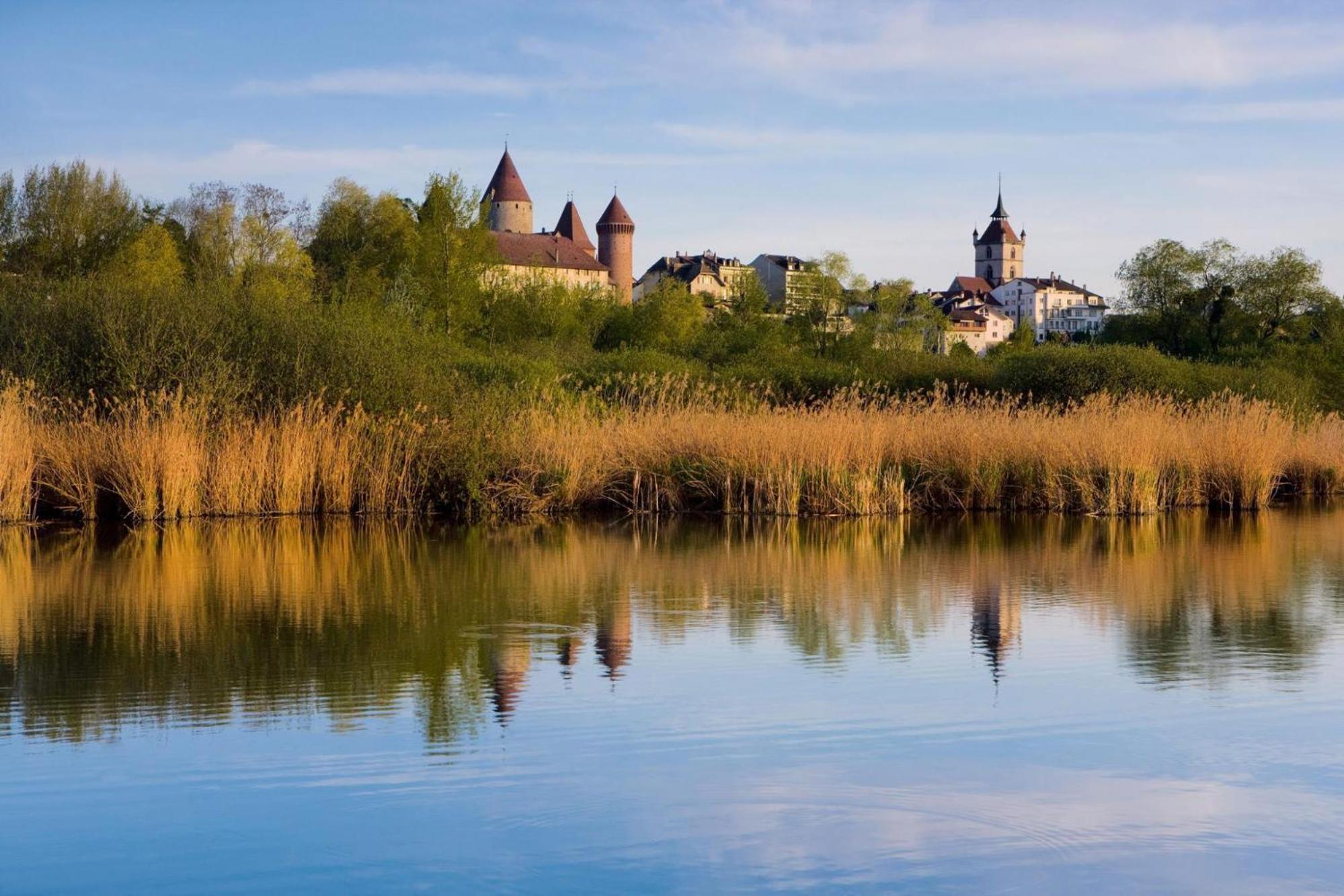 Appartement chalet avec une vue panoramique l'endroit idéal pour se ressourcer