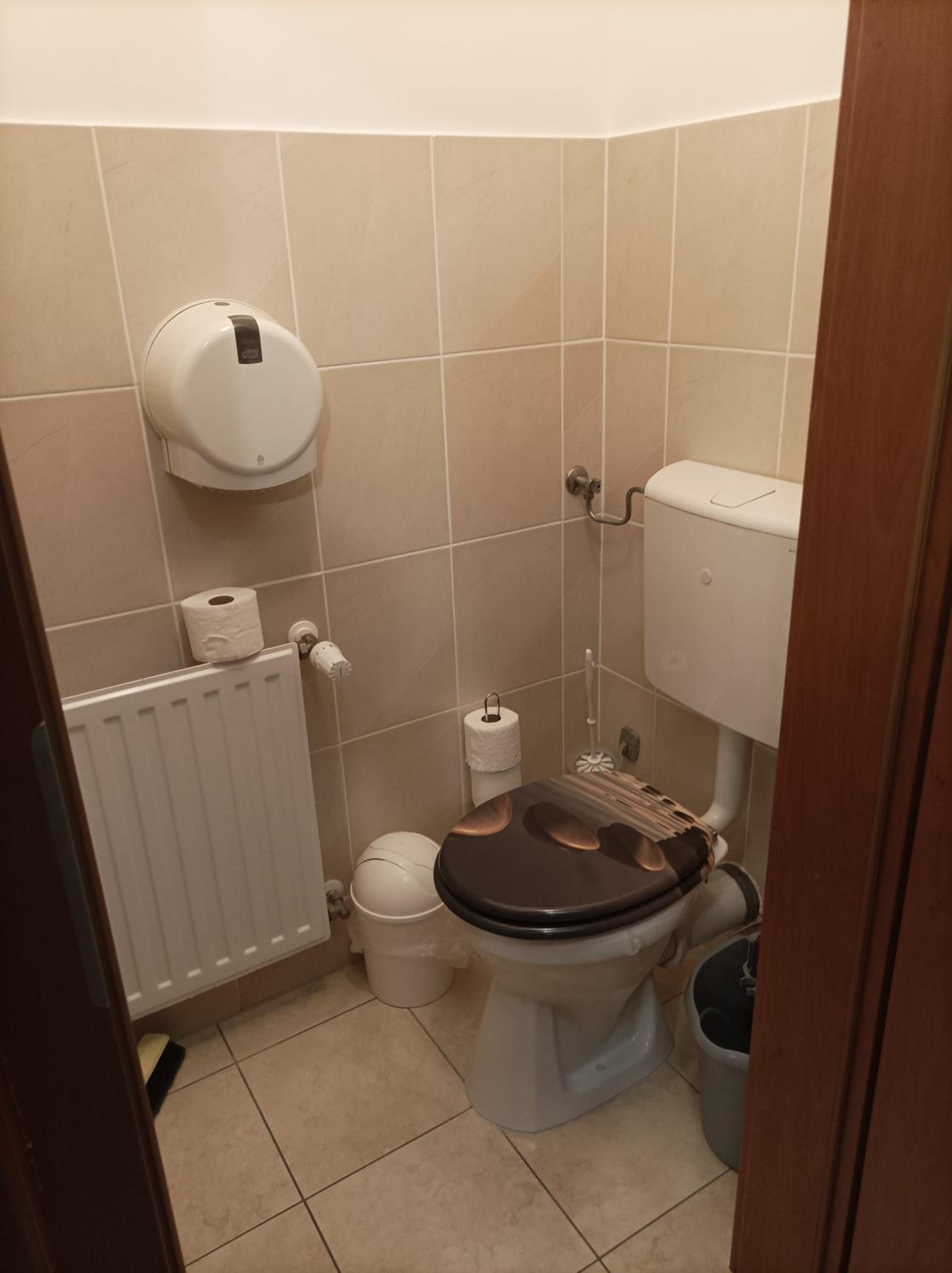 Gold Wellness Apartman view 3