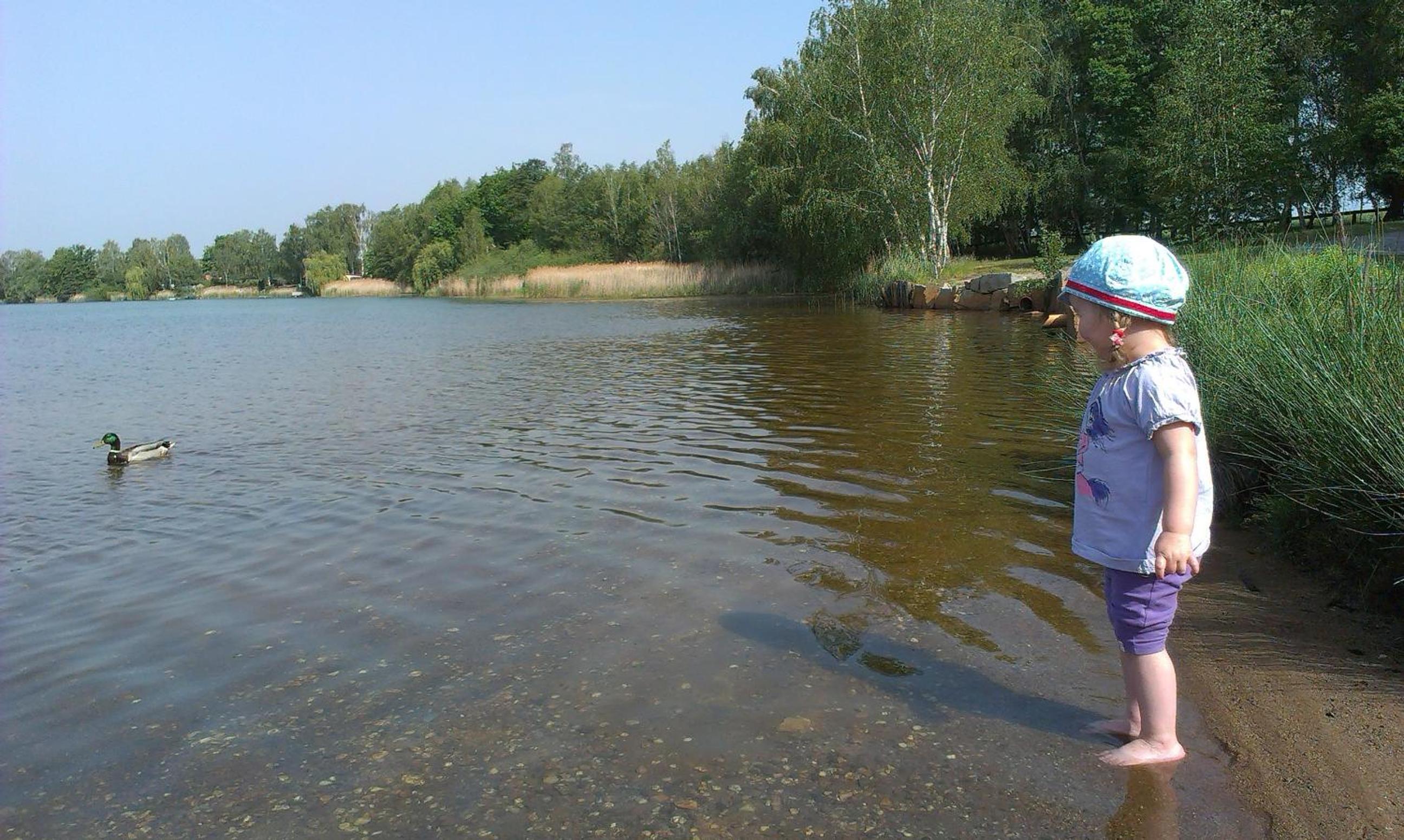 Photo 38