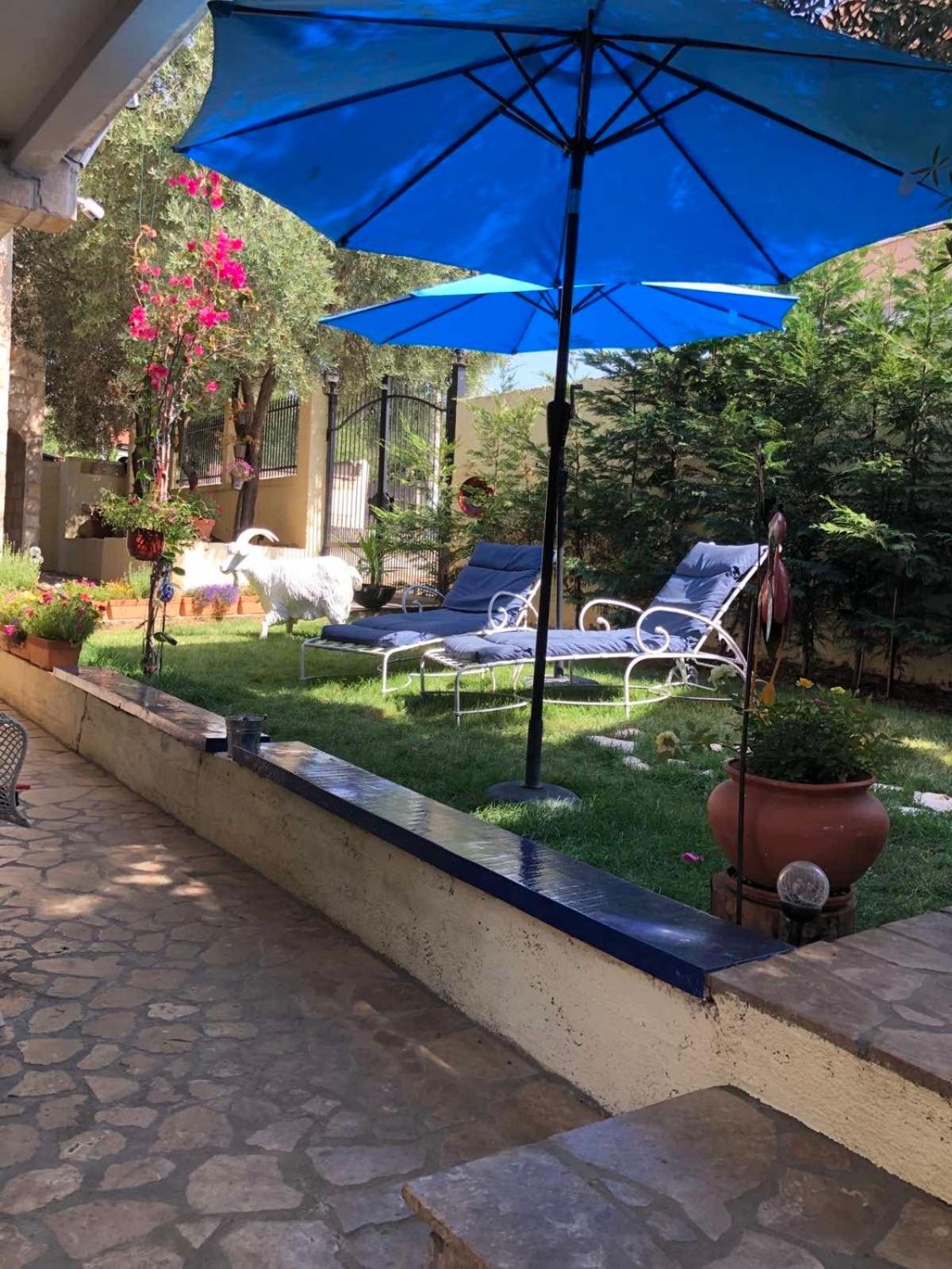 Villa Flamingo