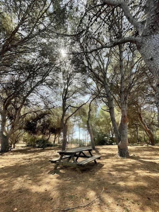 Las Margaritas Binibeca Menorca