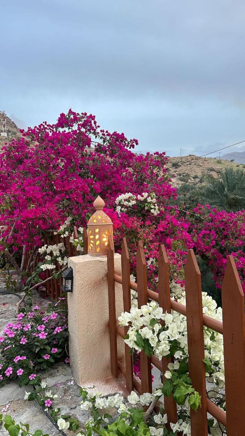 WADI BANI KALED REST HOUSE