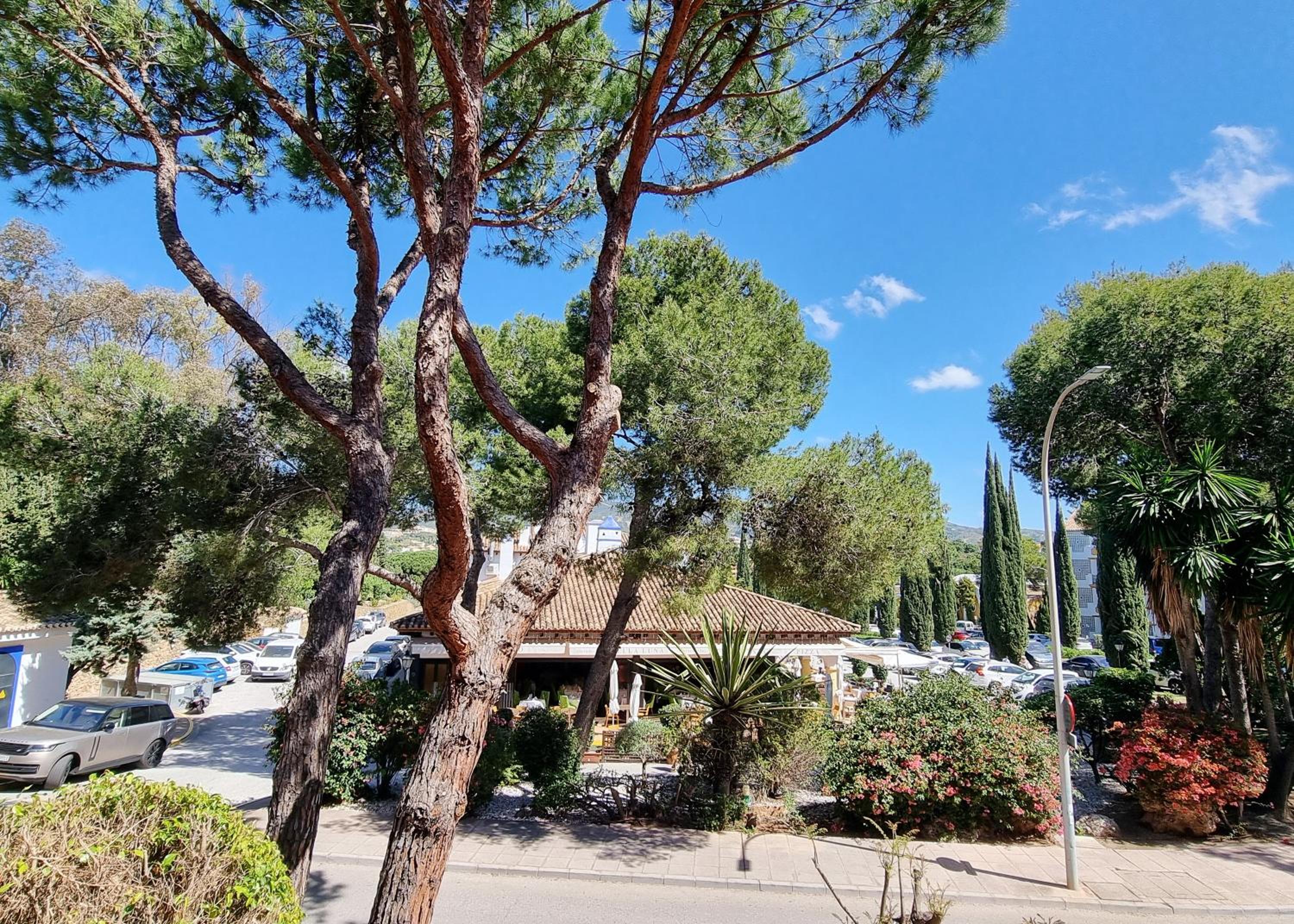 Jardines de Don Carlos Apartment