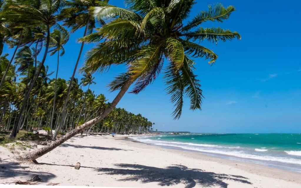 Chalé Praia dos Carneiros