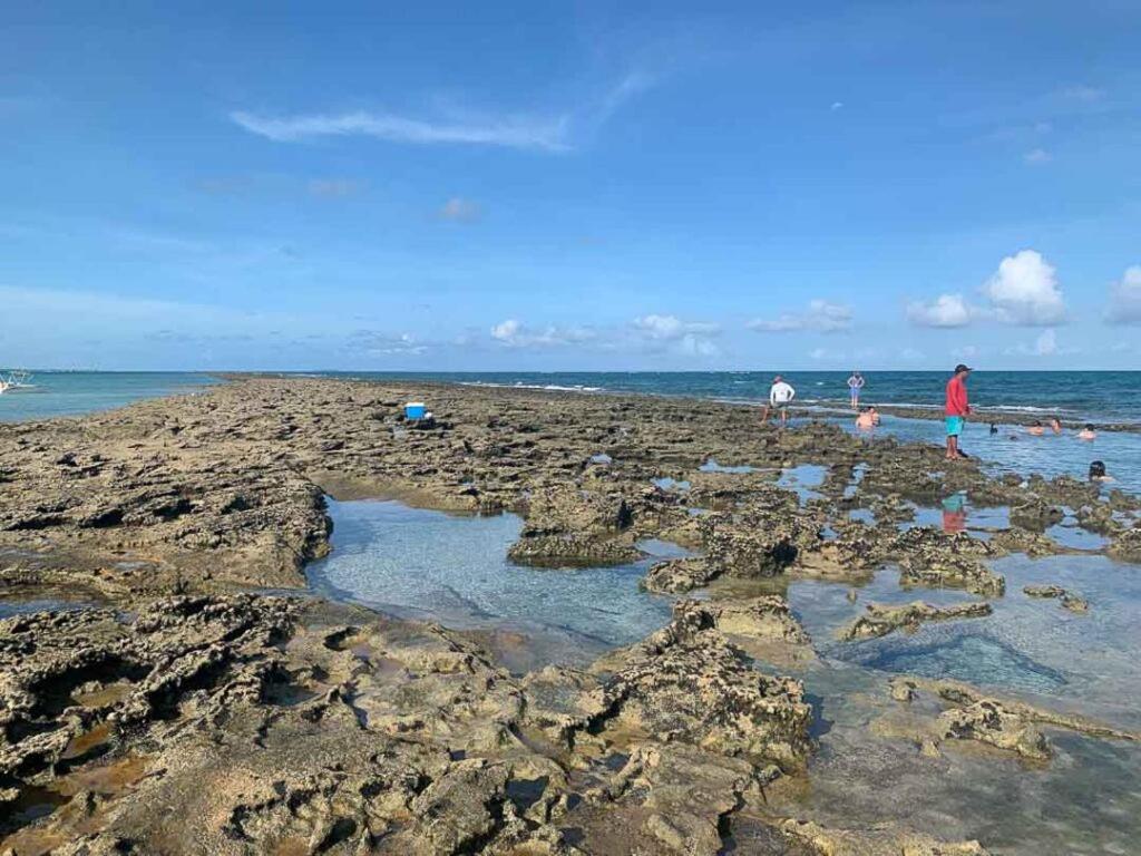Chalé Praia dos Carneiros