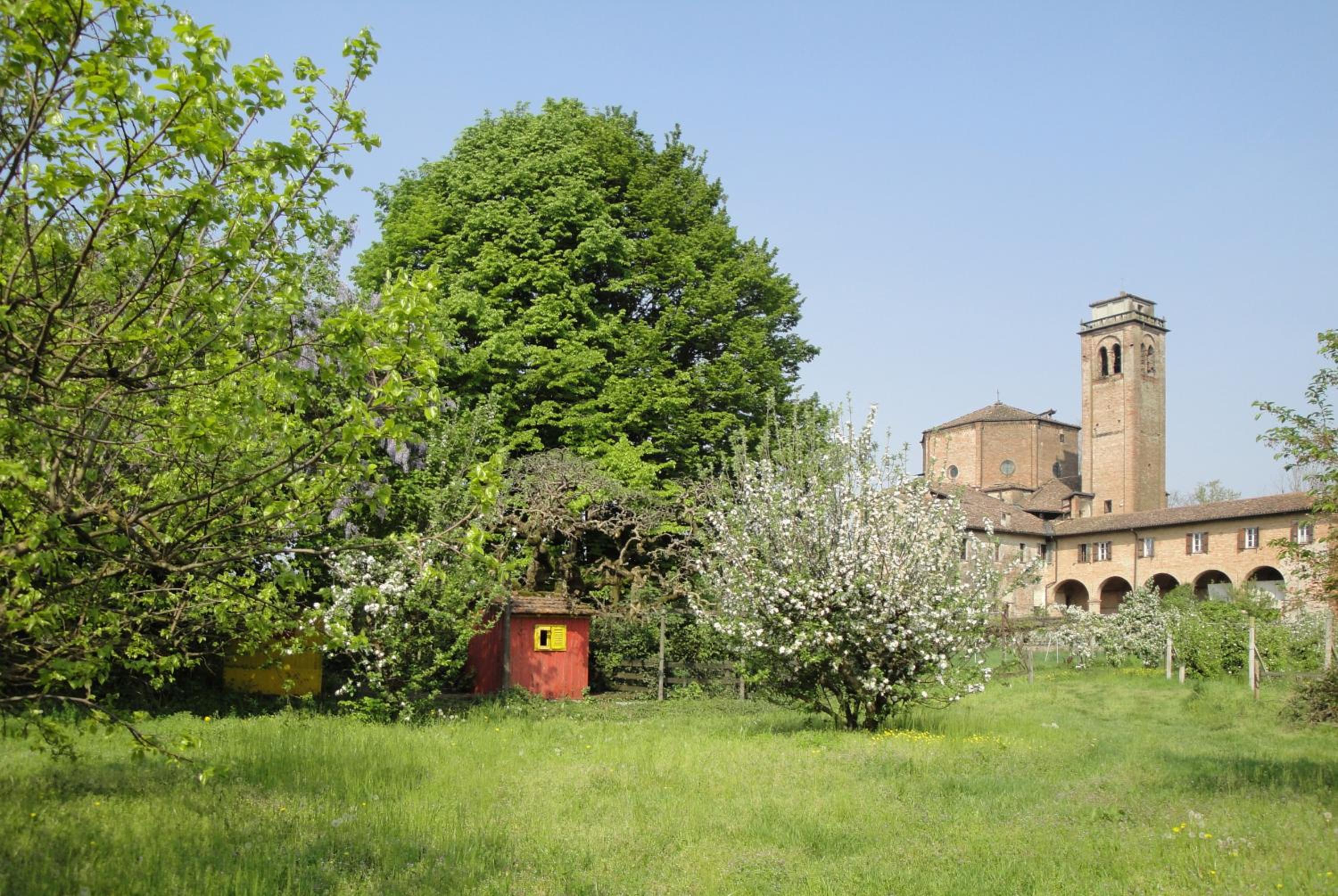 Photo 7