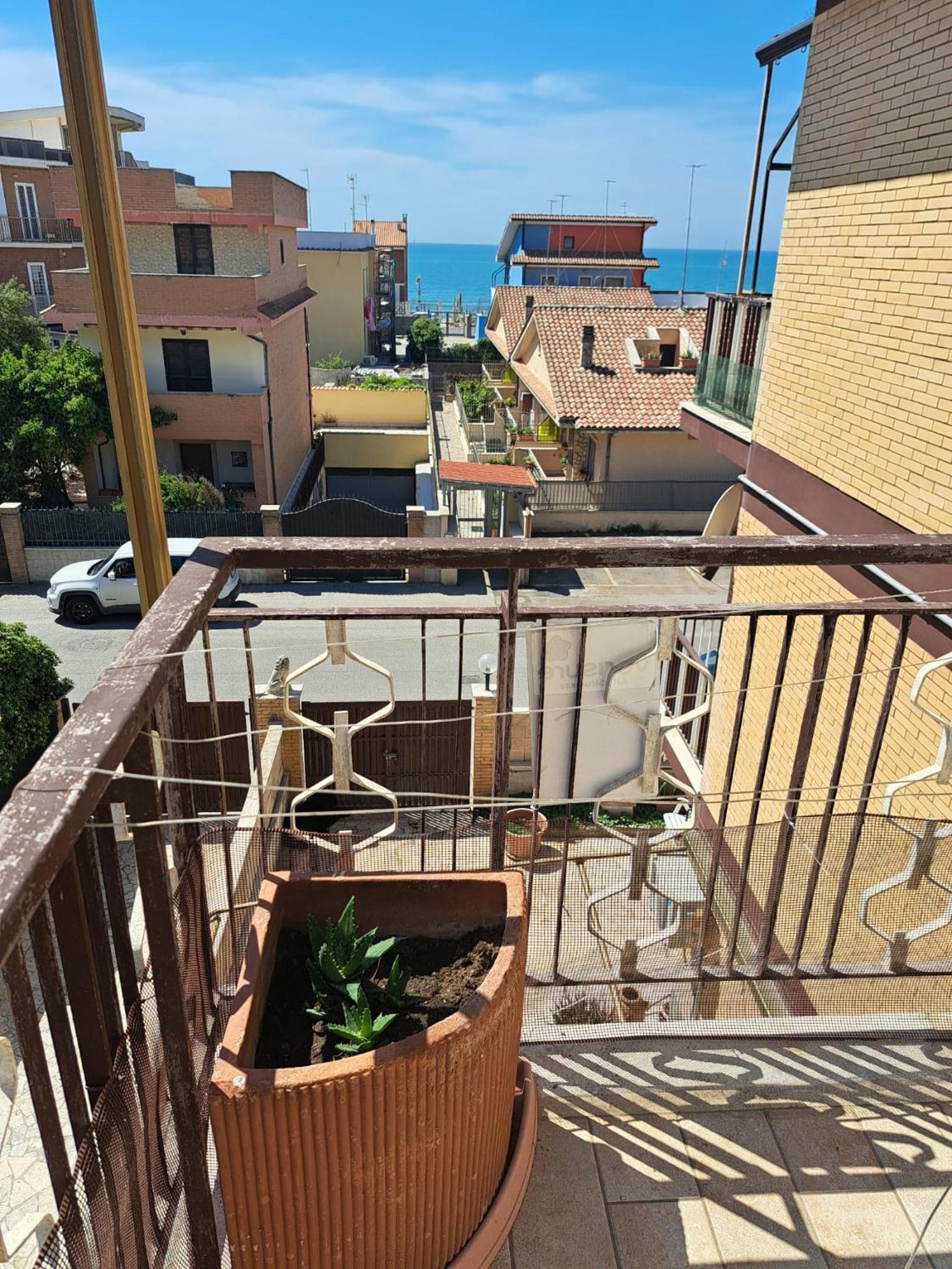 Lido