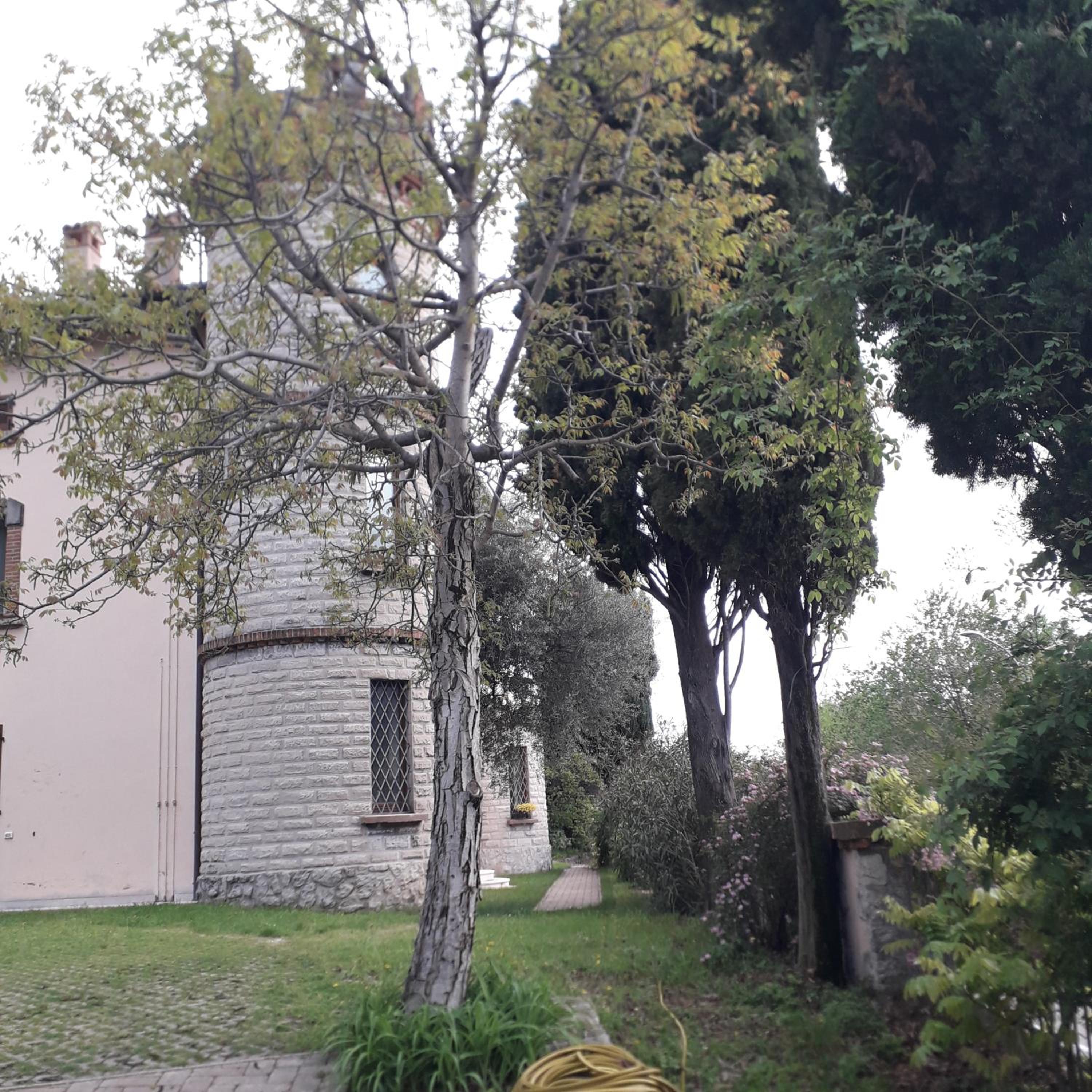 Photo 22