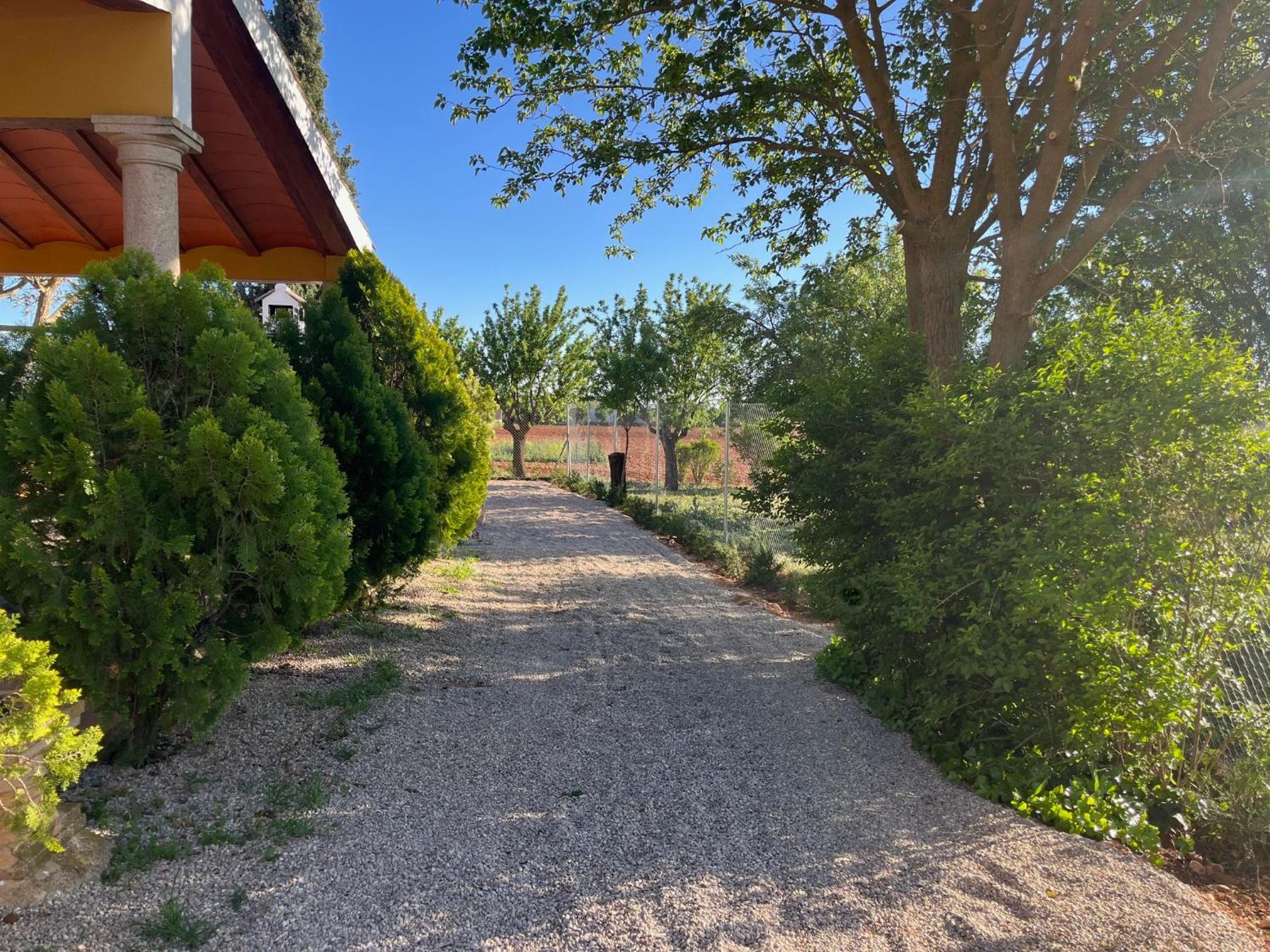 Photo 23
