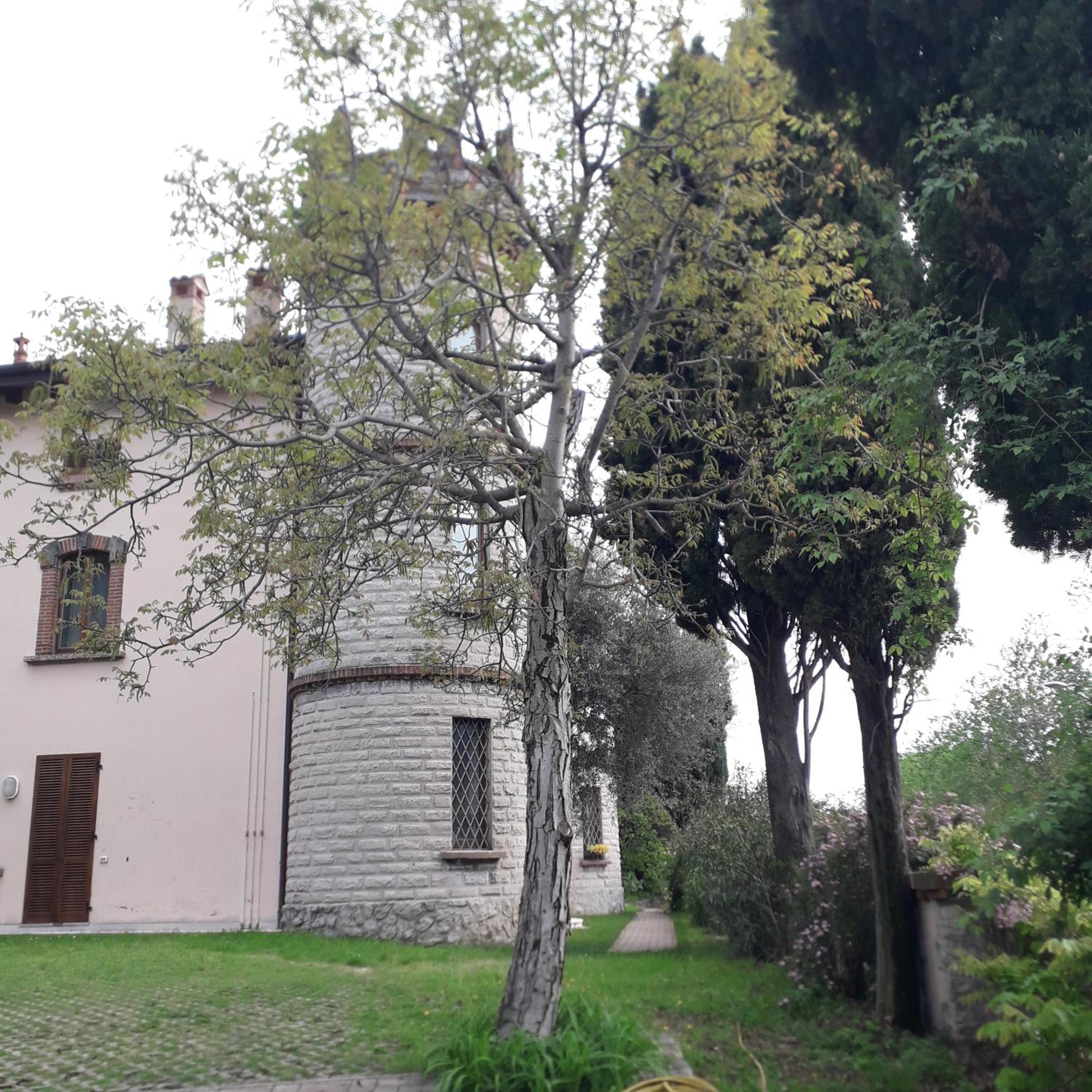 Photo 39