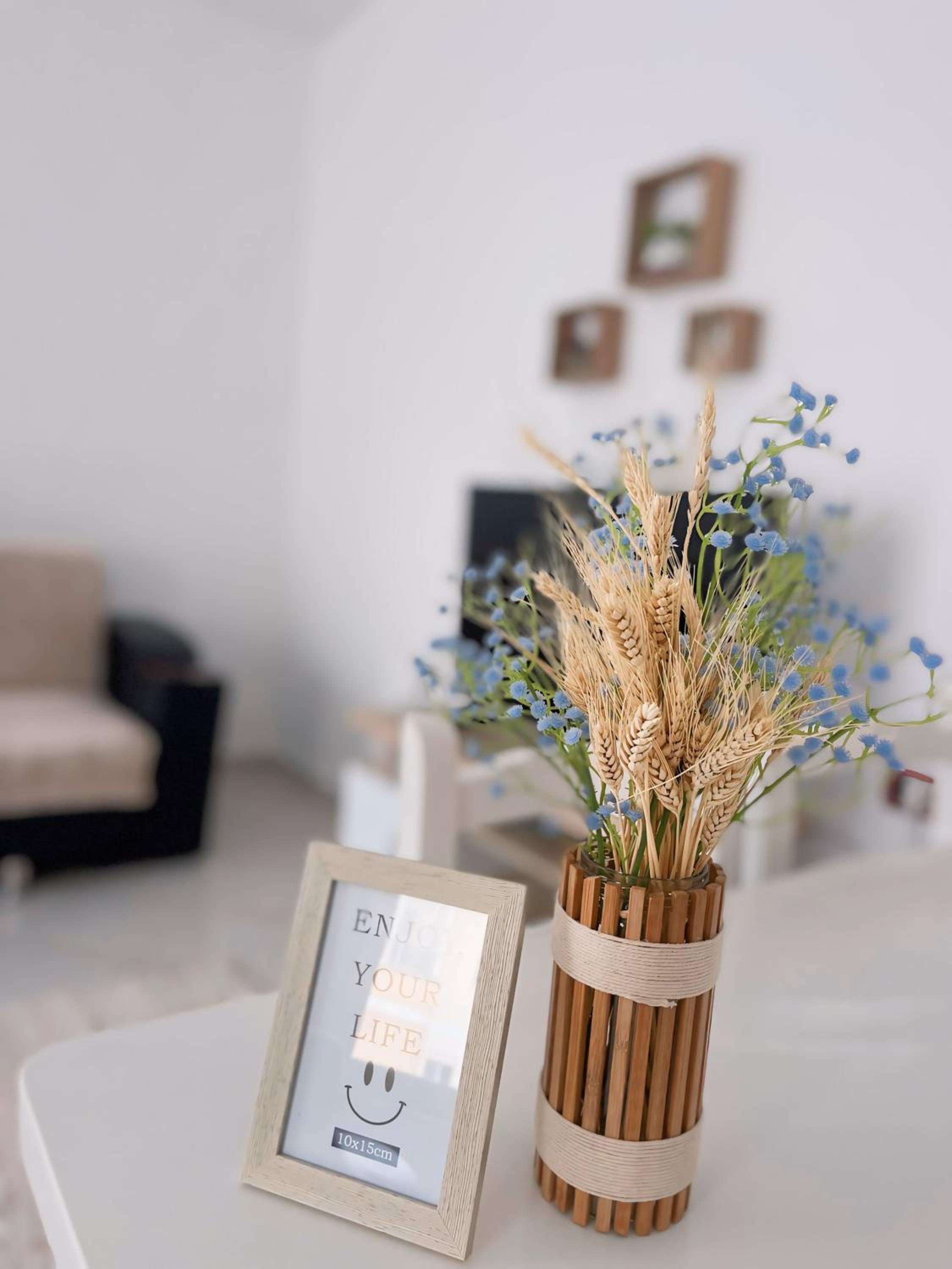 Sonila Apartment for rent