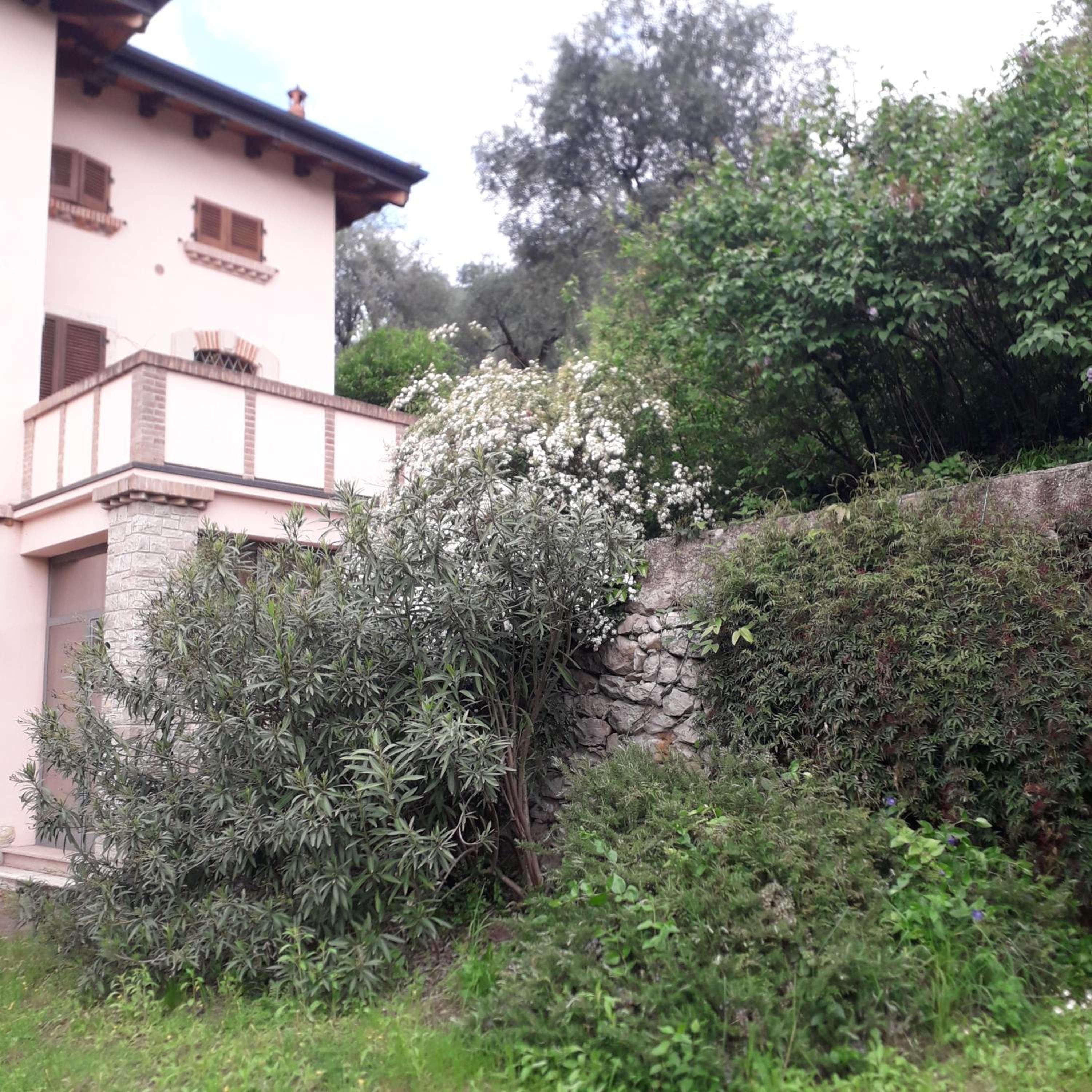 Photo 40