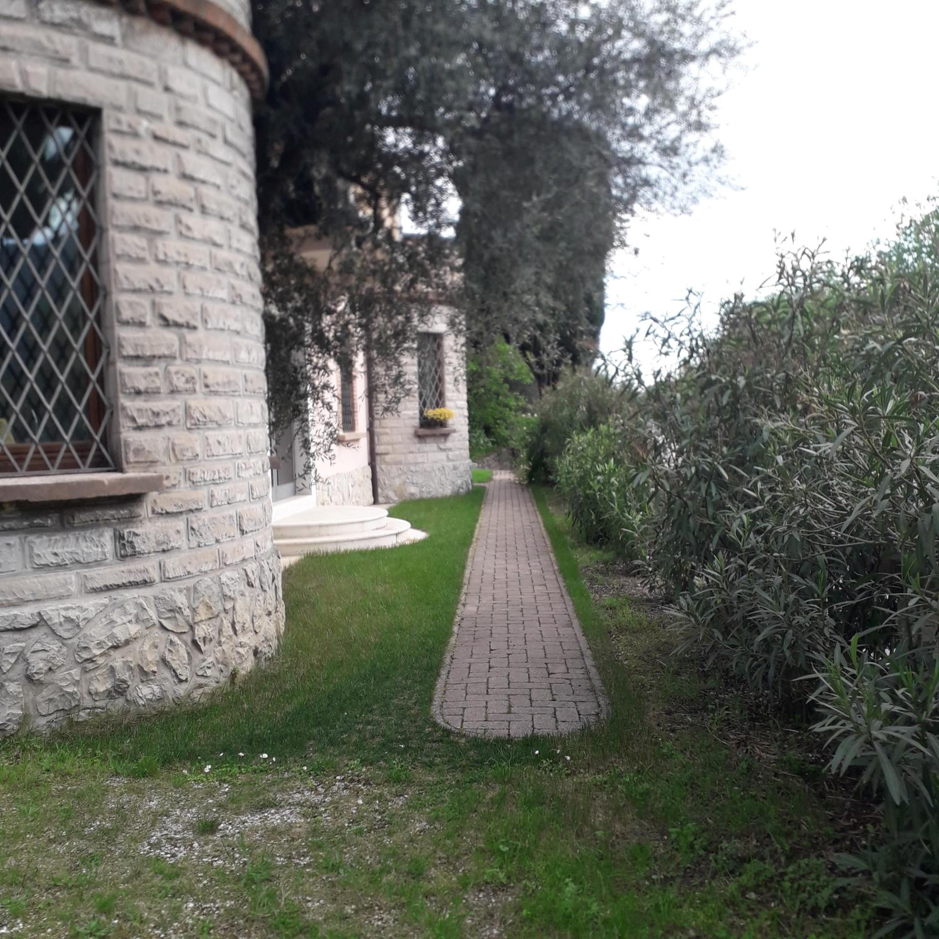 Photo 41