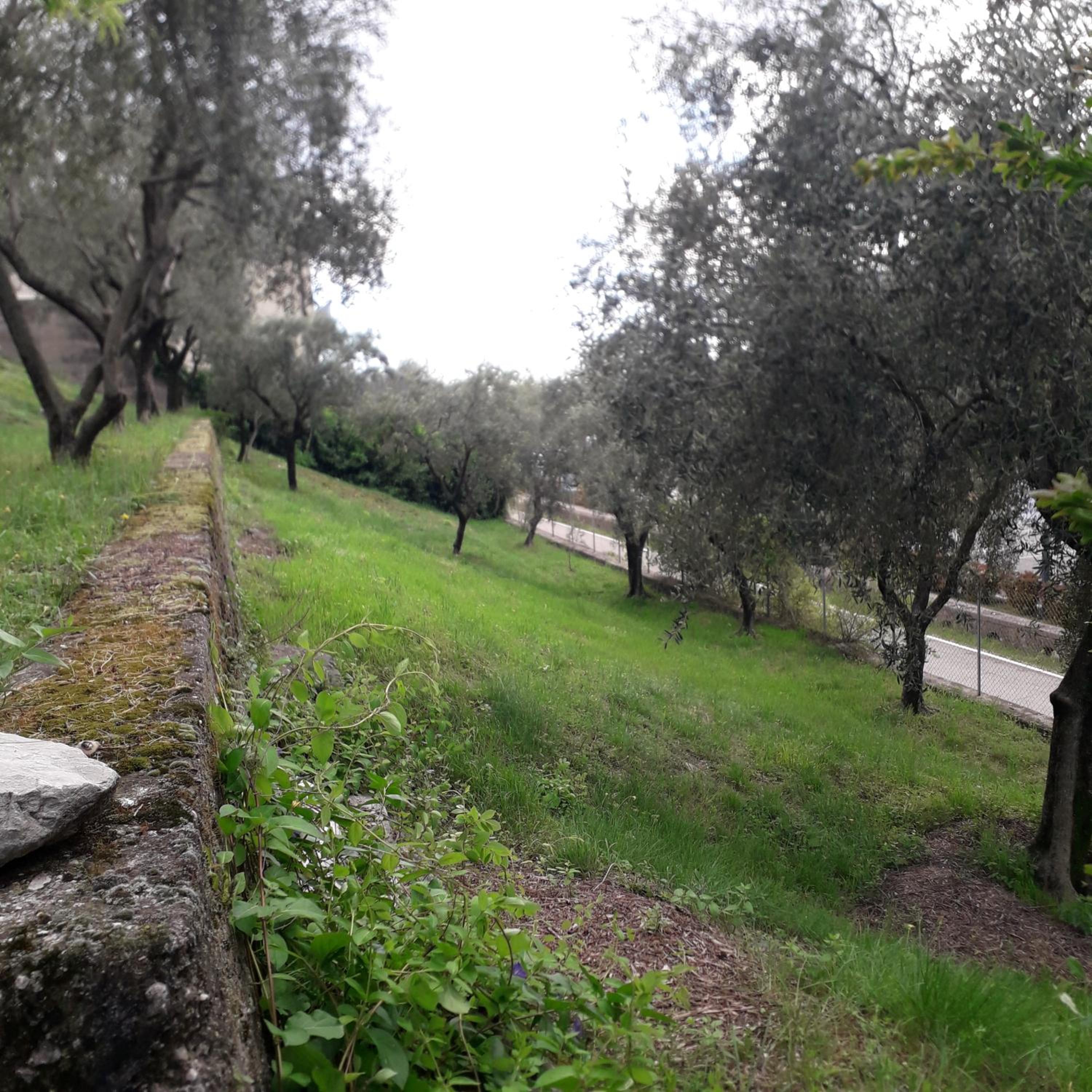 Photo 43