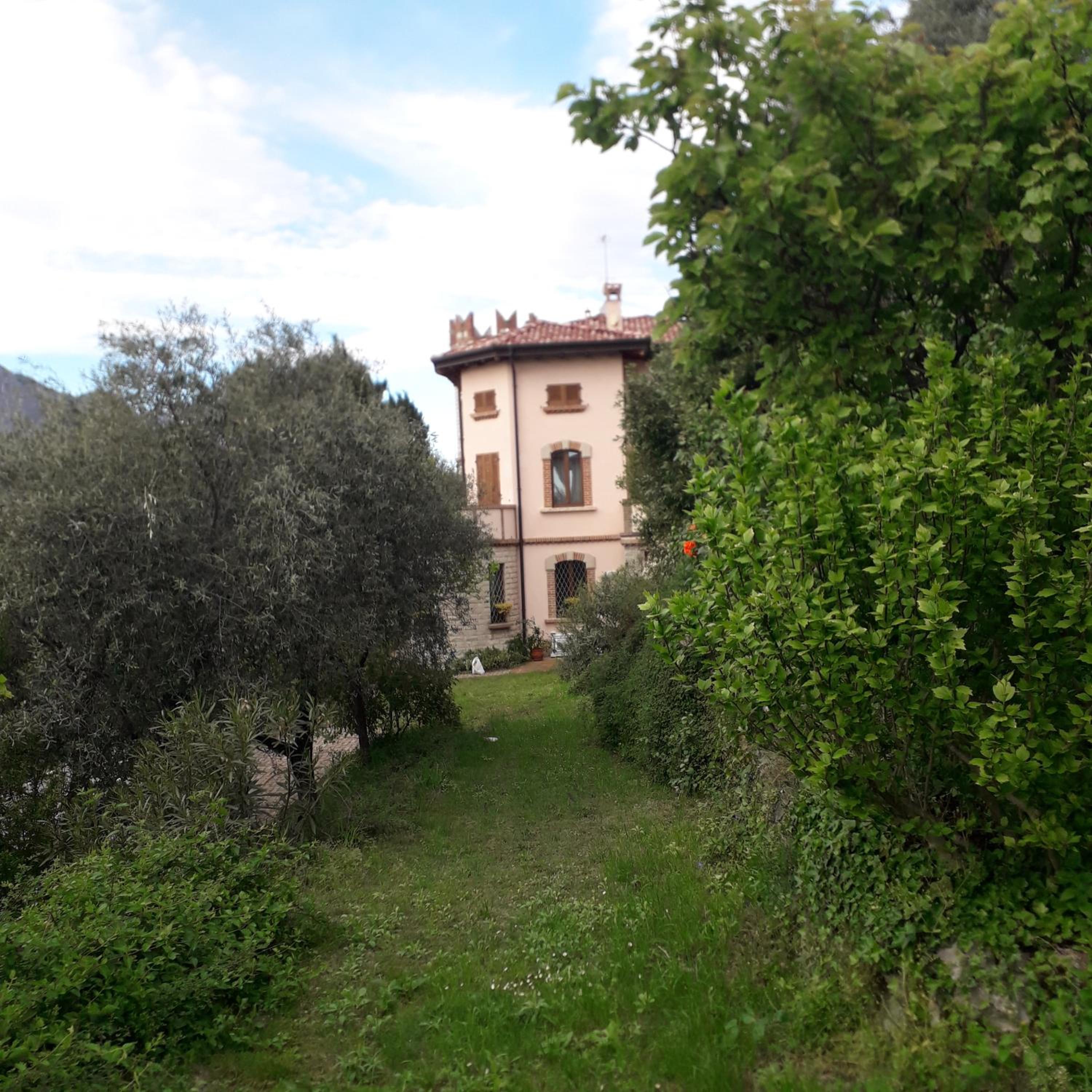 Photo 45