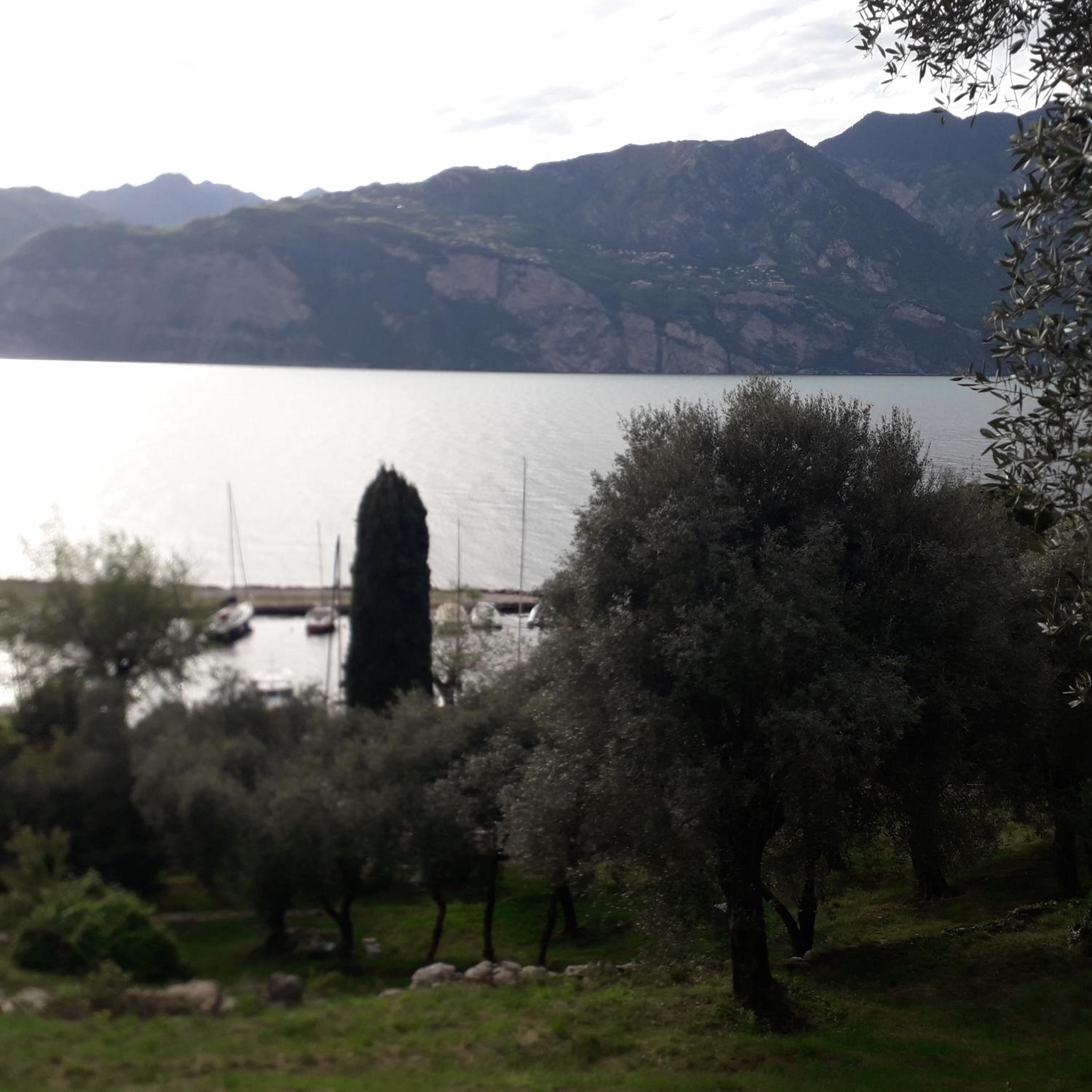 Photo 46