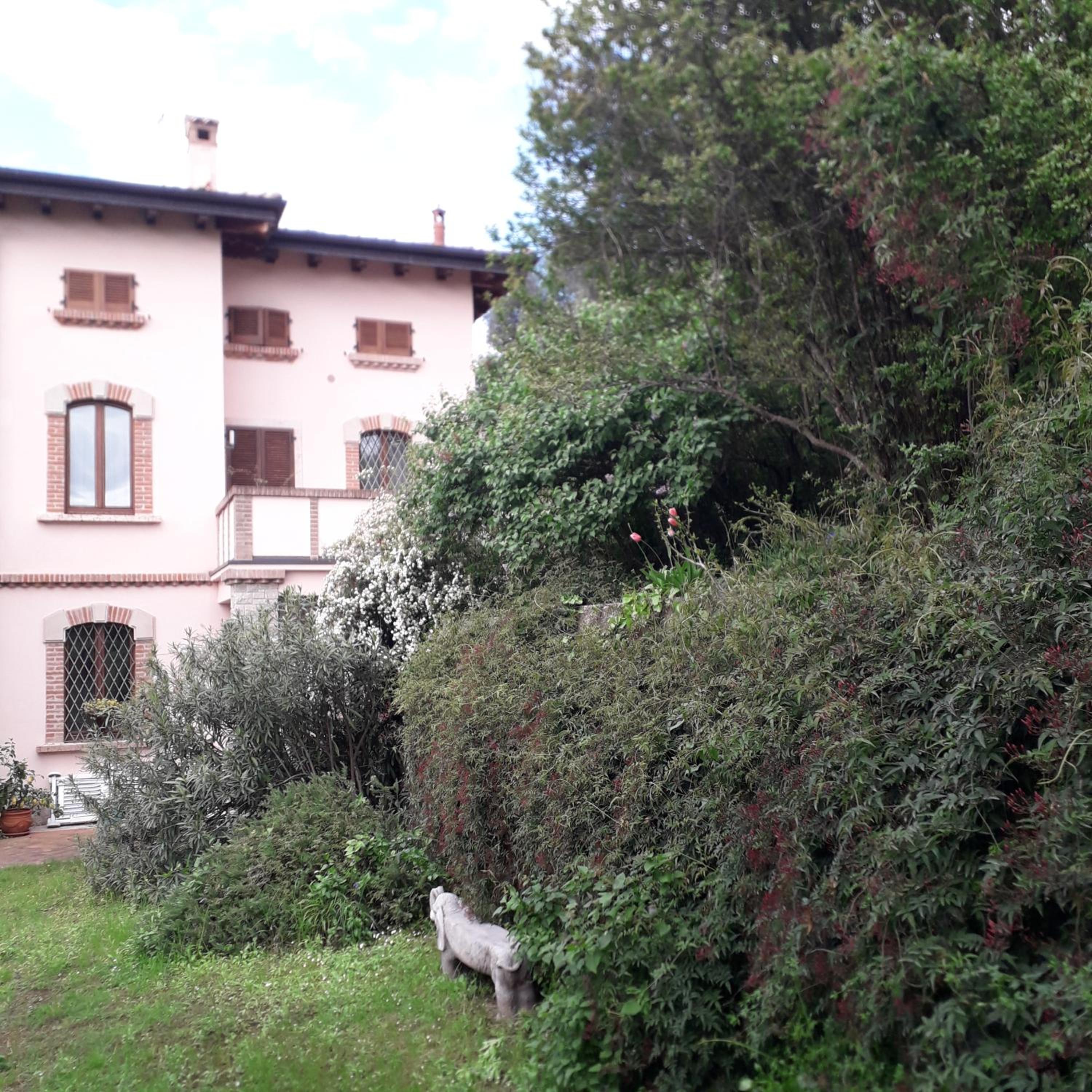 Photo 47