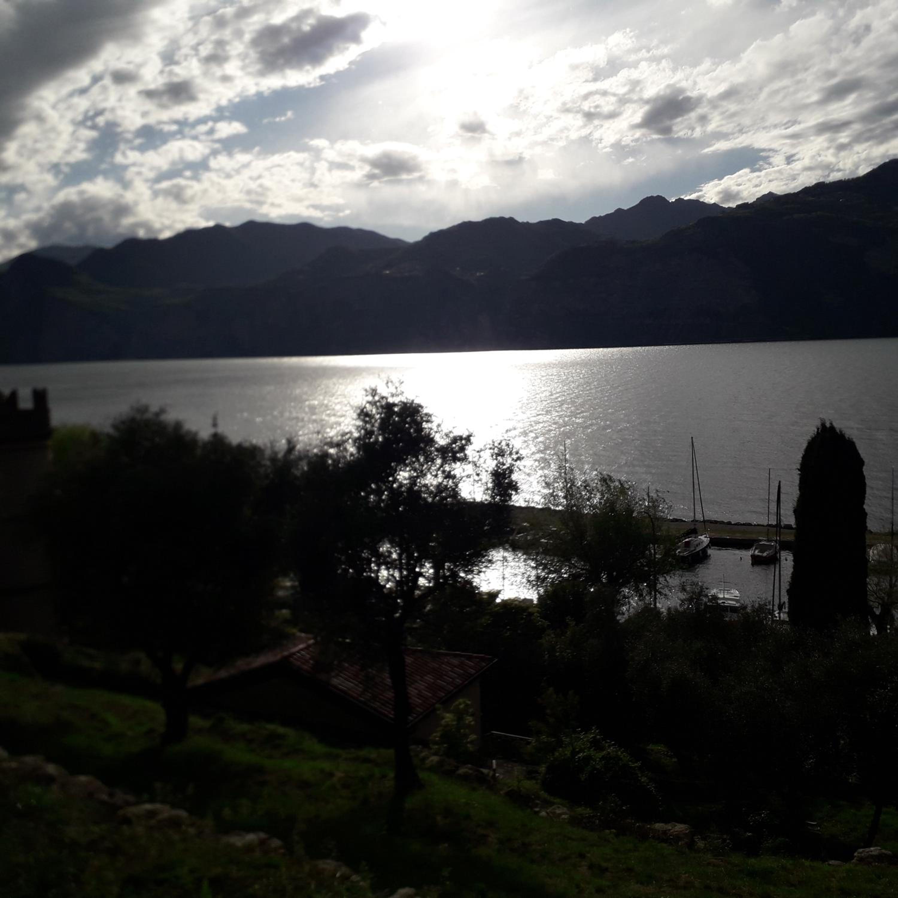 Photo 48