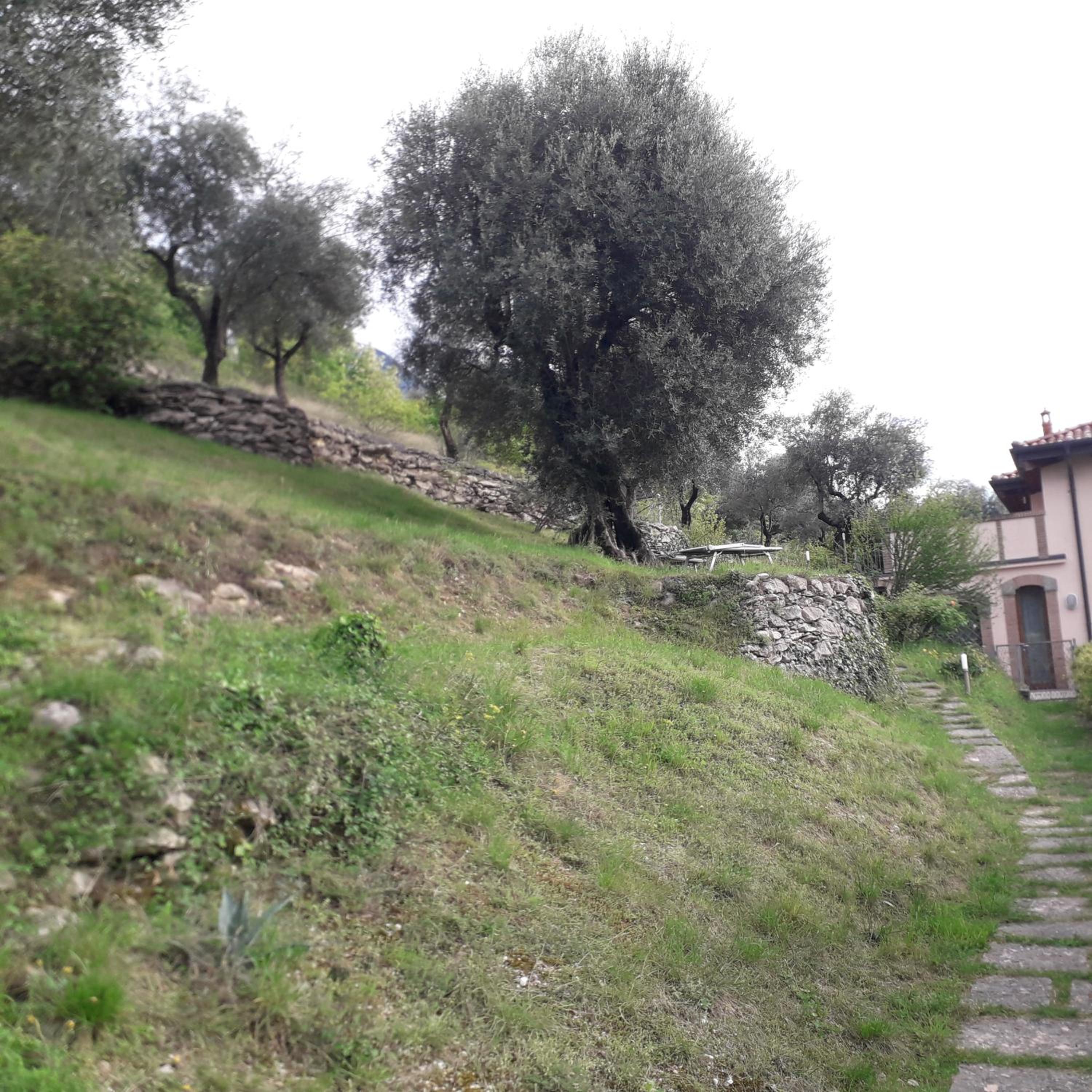 Photo 57