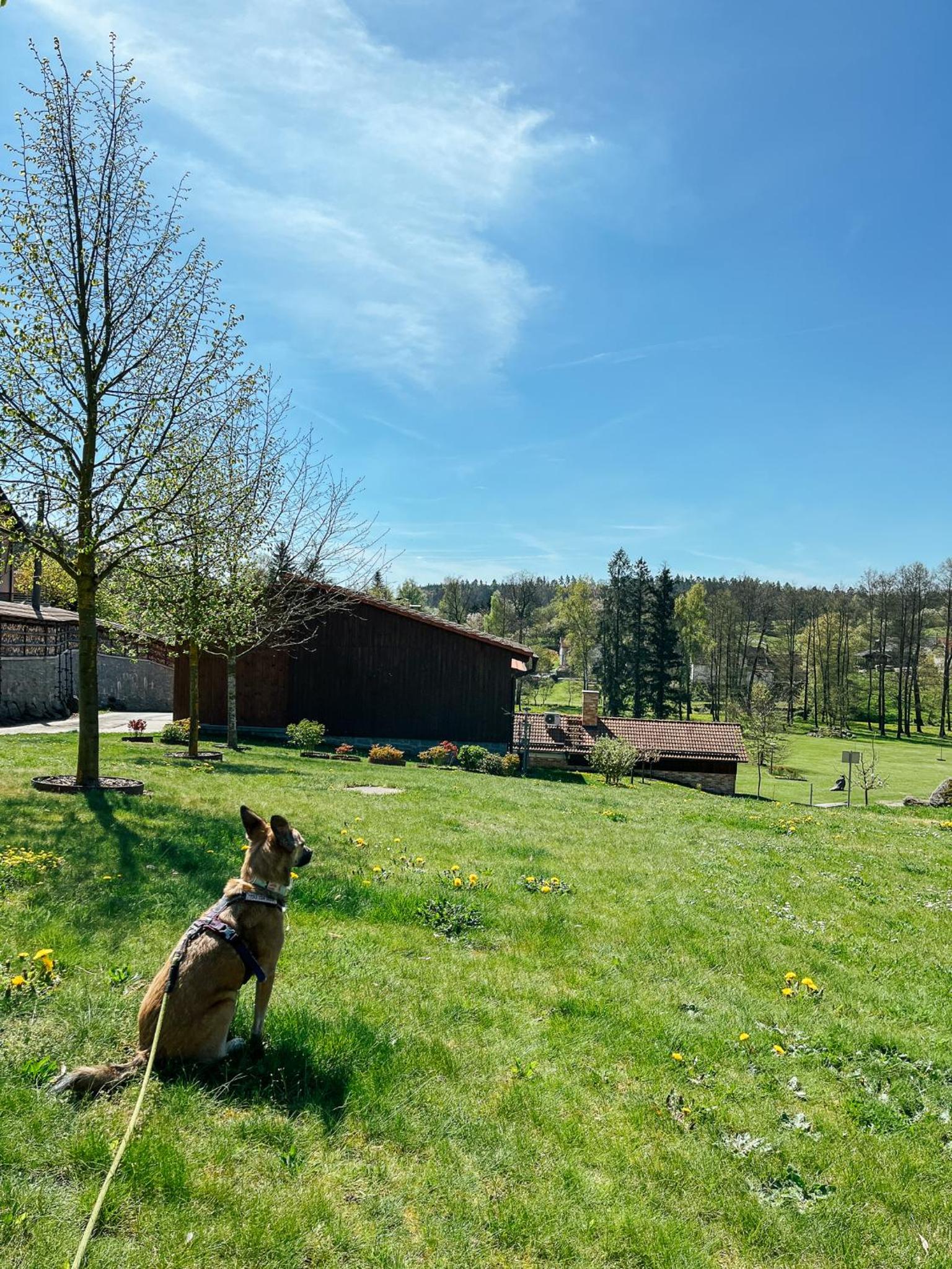 Stylová Lodge s vlastním koupáním & pergolou