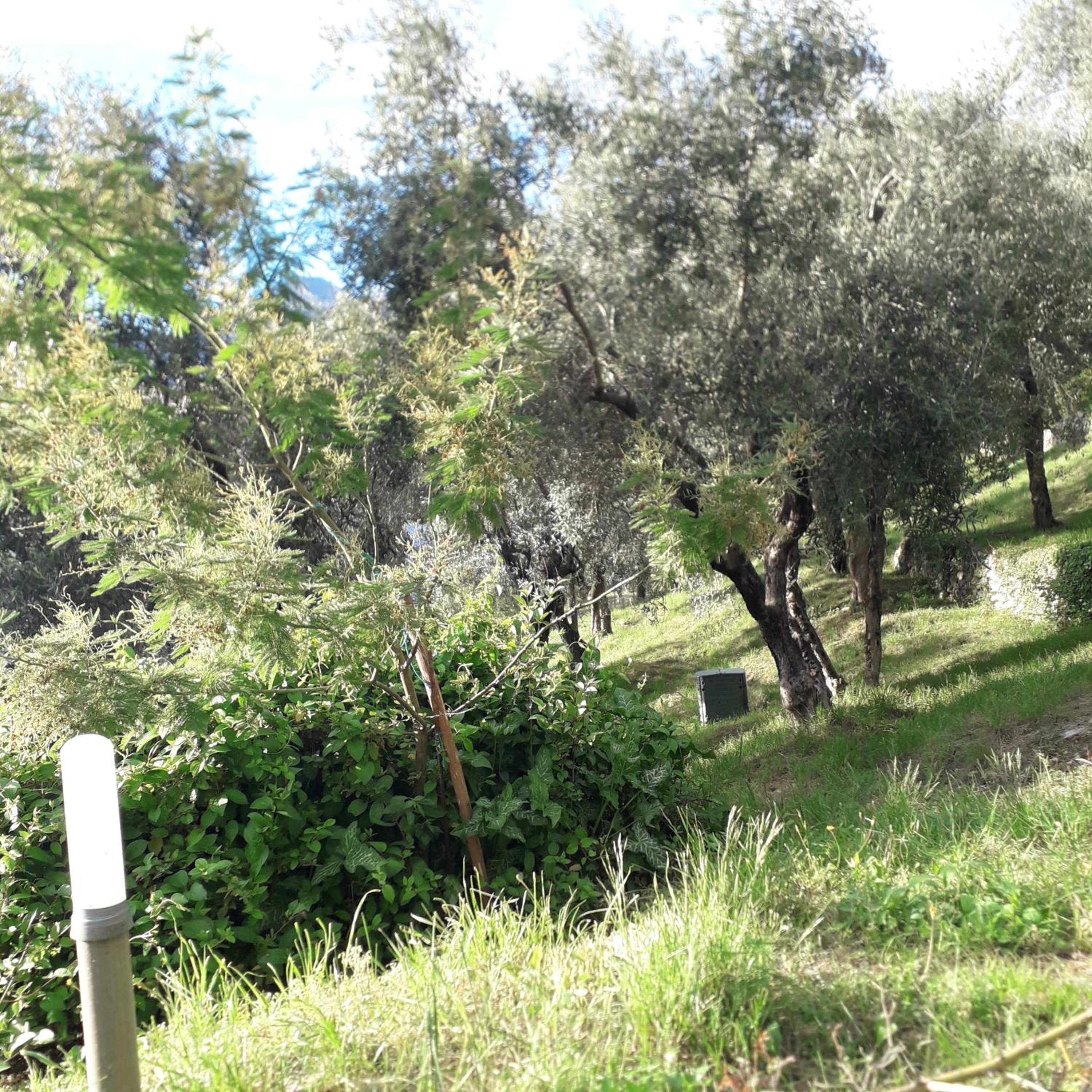 Photo 64