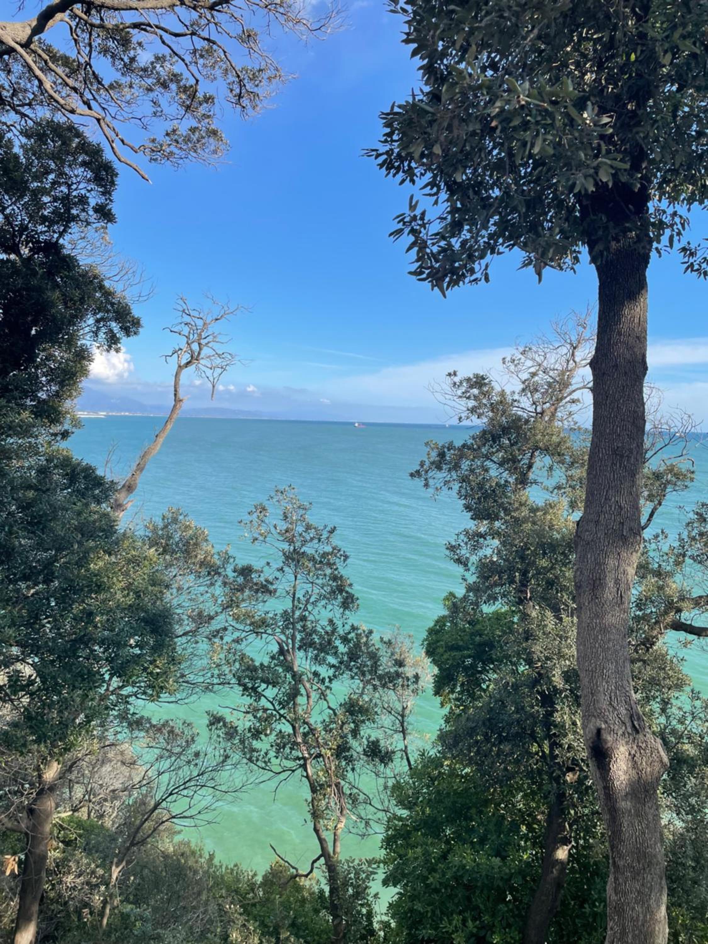 Villa Vecchia Fontana al mare - Tra Liguria e Toscana tra Viaregggio, Forte dei Marmi e Cinque Terre- Haus am Meer bei la Spezia
