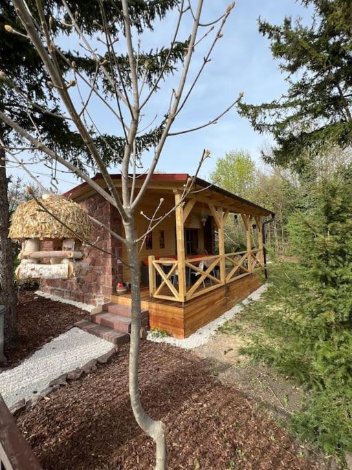 Love Shack