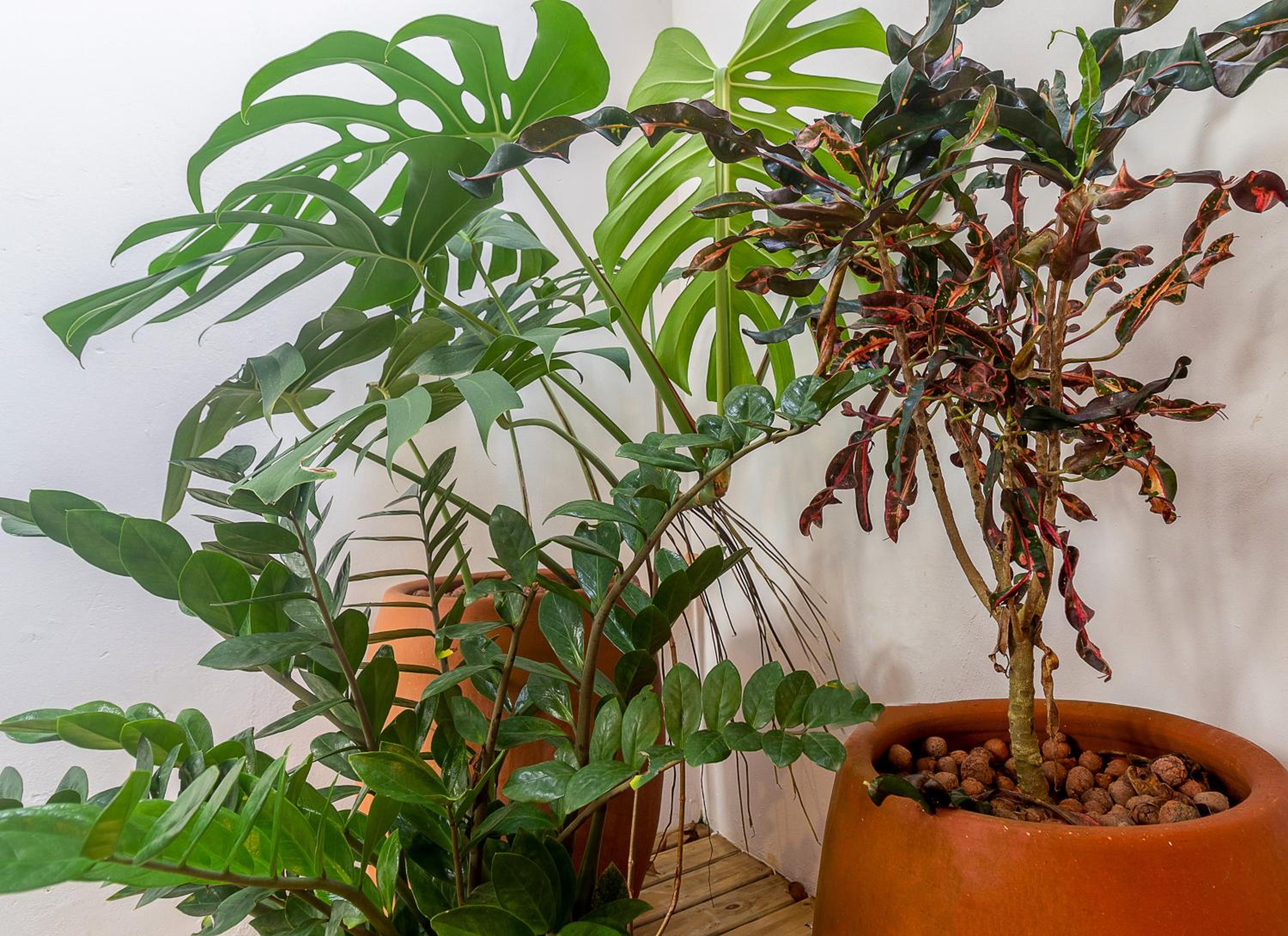 CASA NINA