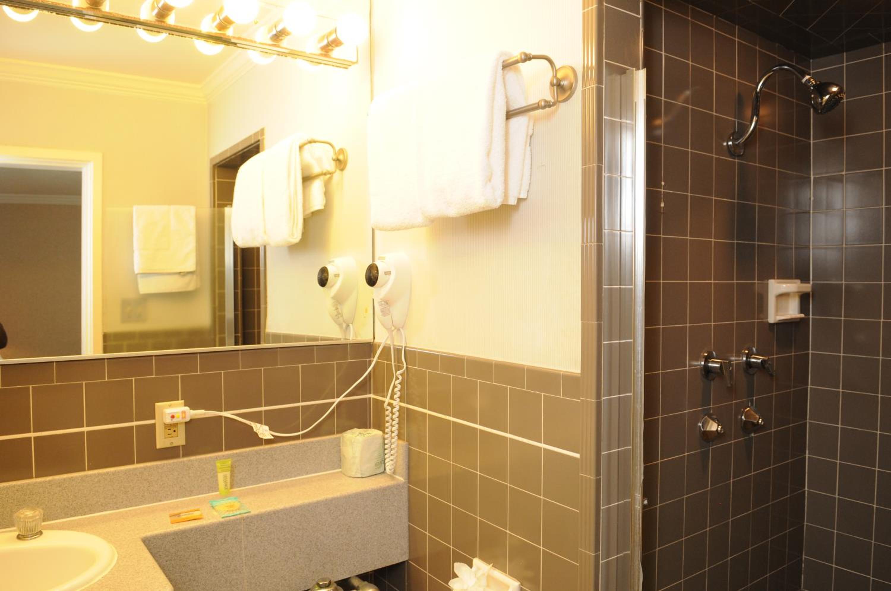 Civic Center Motor Inn photo 4