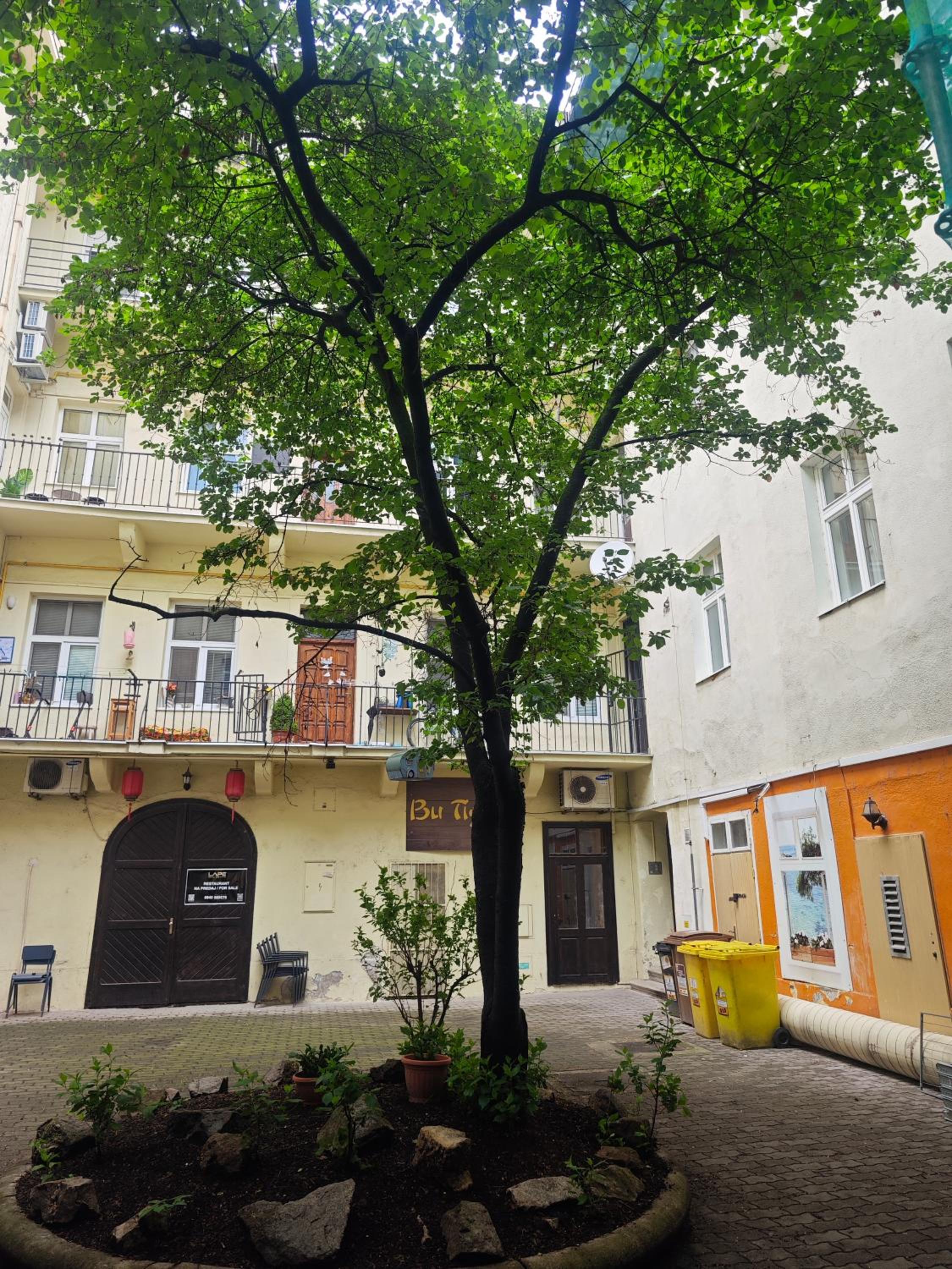 Photo 17