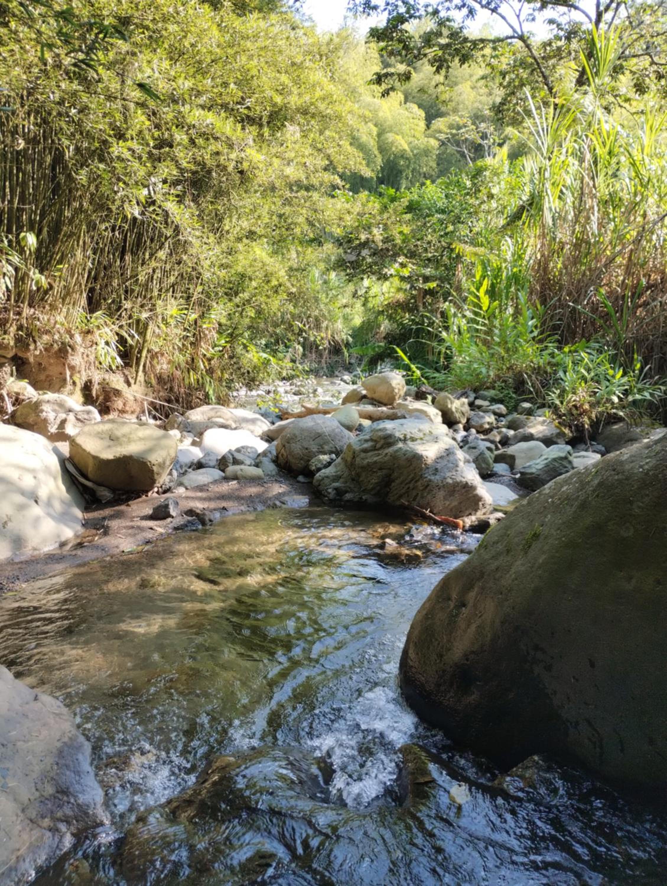 Finca Los Lagos