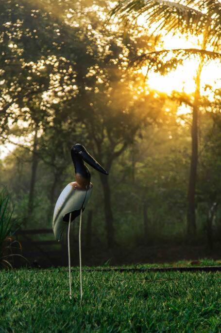 Rancho Divino Espírito Santo- Beira Lago Corumbá IV