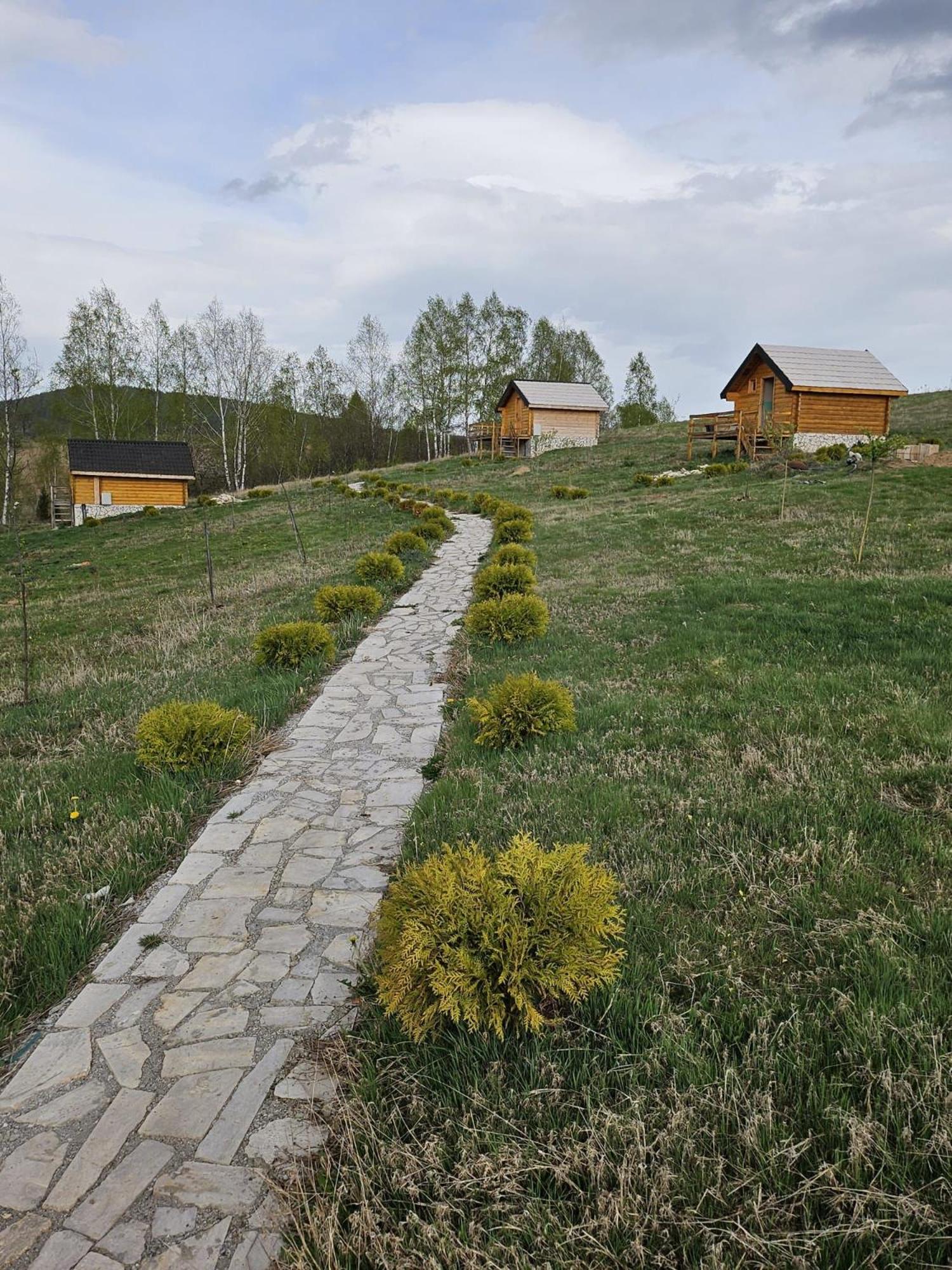 Photo 37