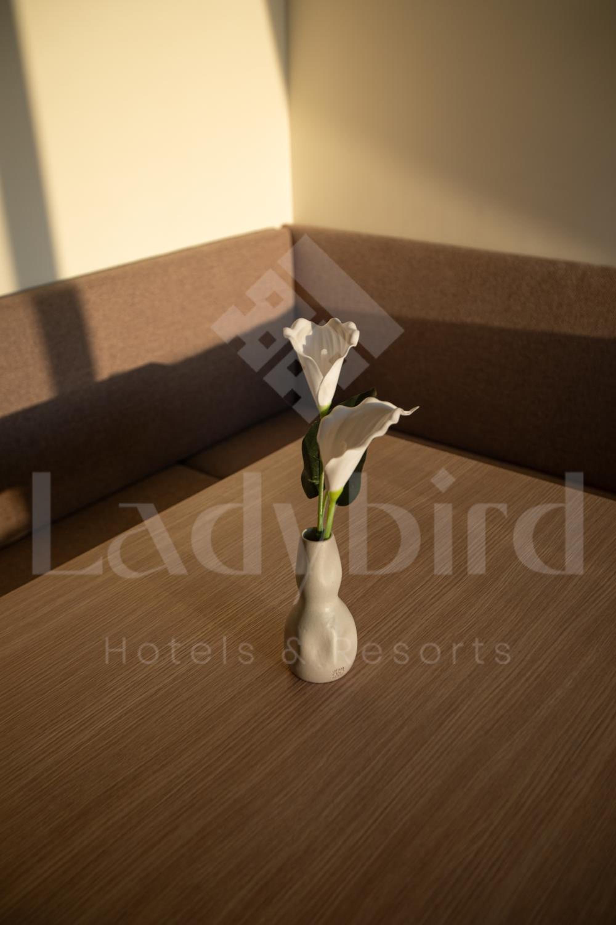 Ladybird - Veranda Highline