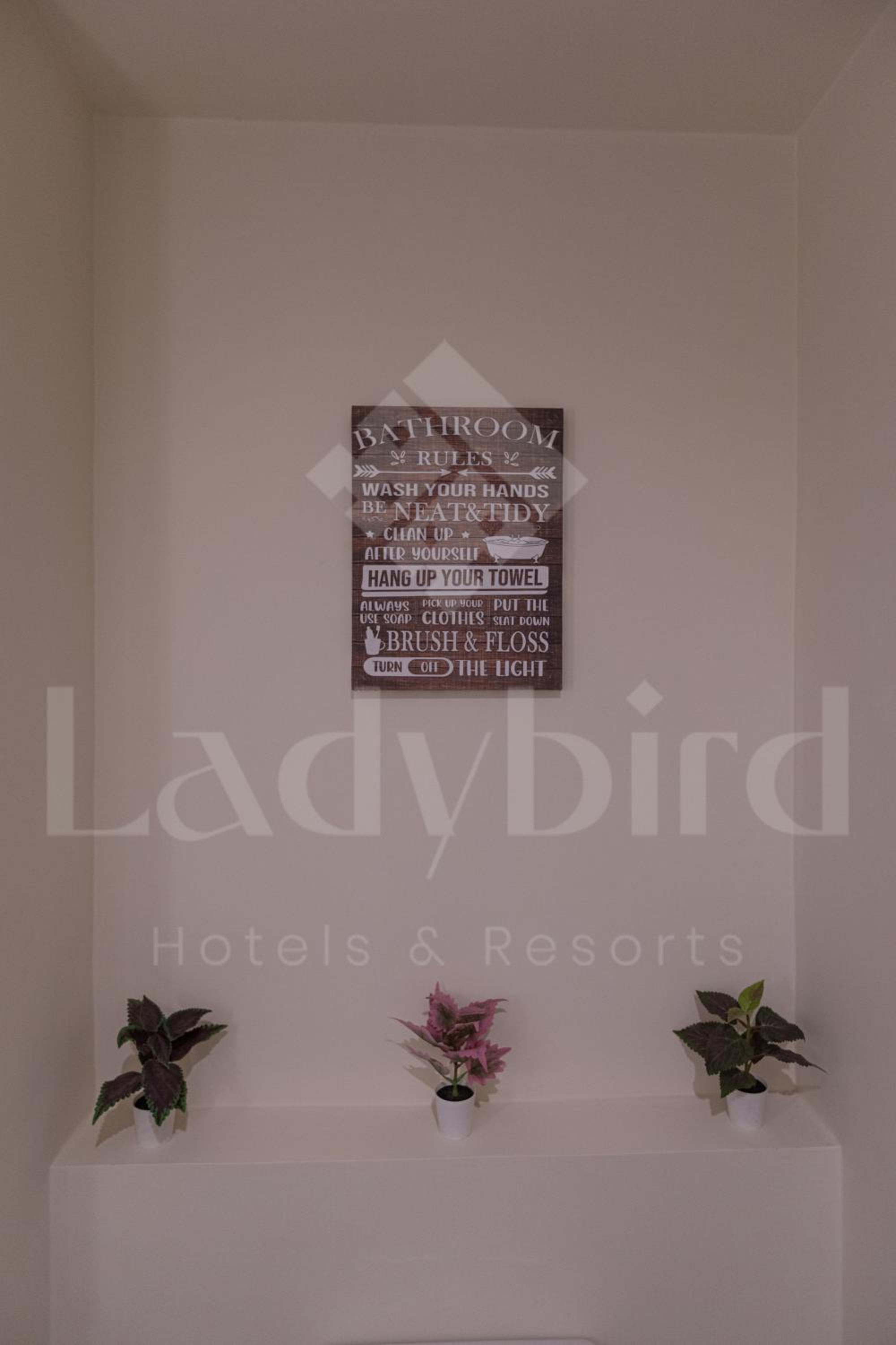 Ladybird - Veranda Highline