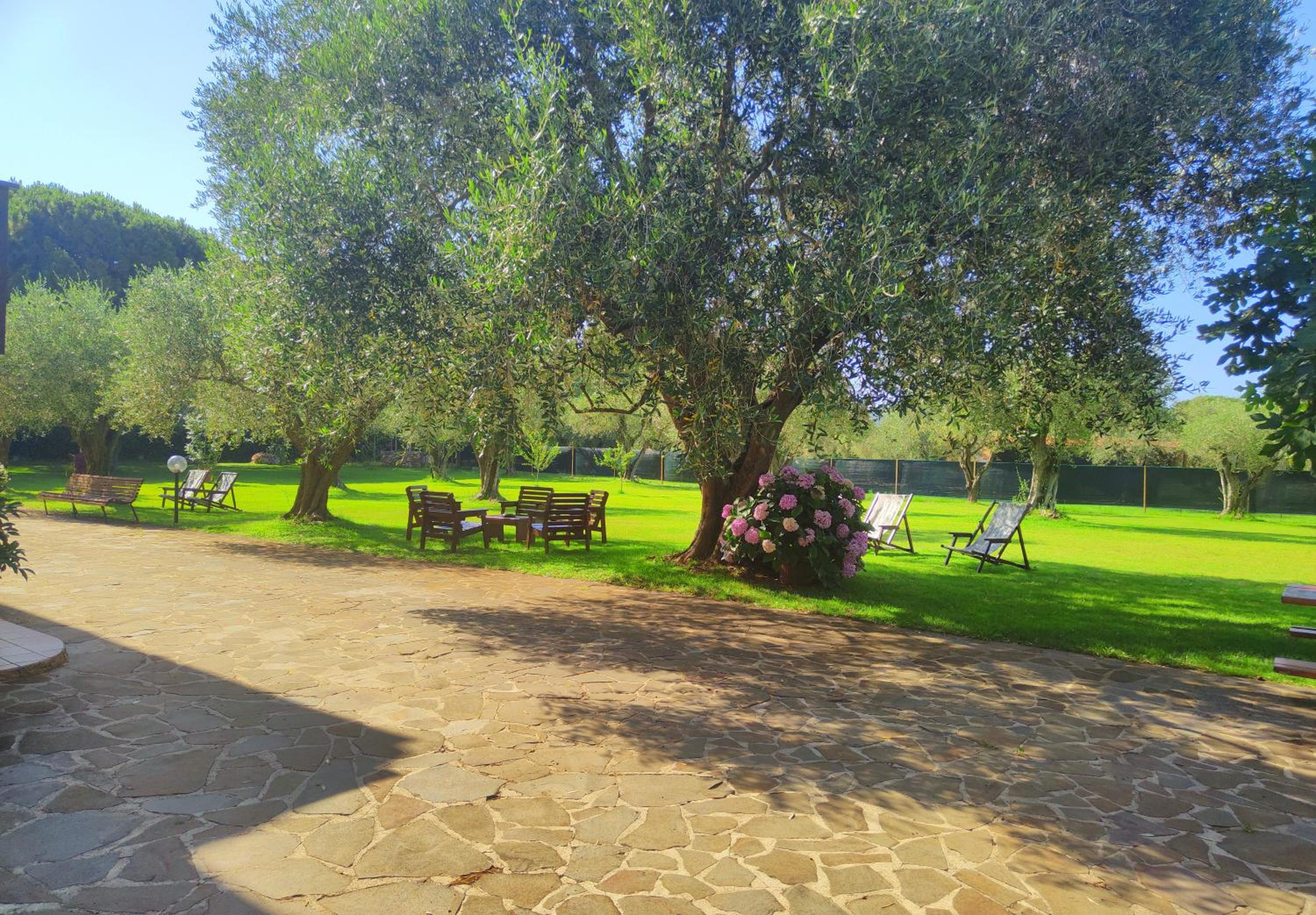 Photo 46
