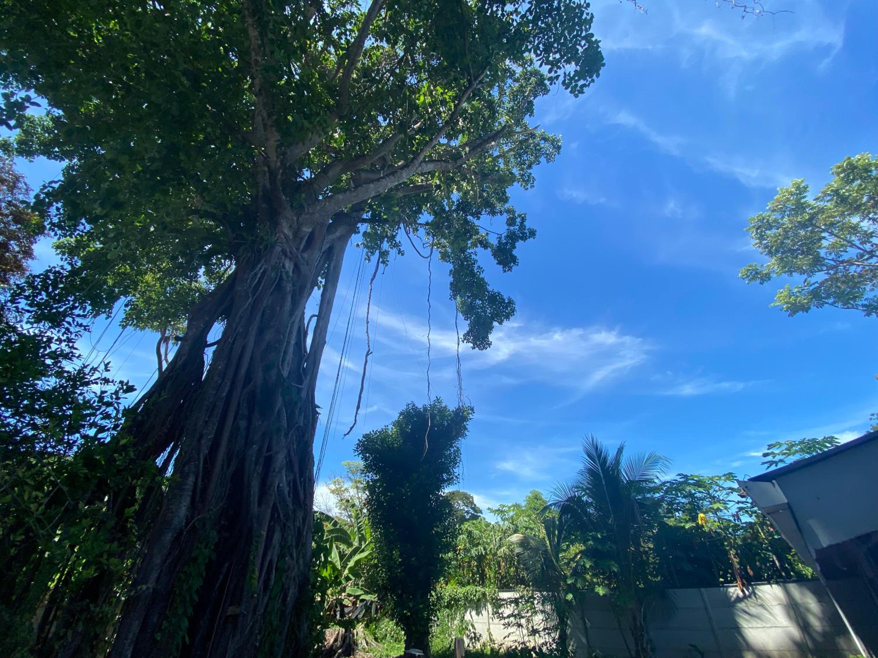 Cahuita Home Villa