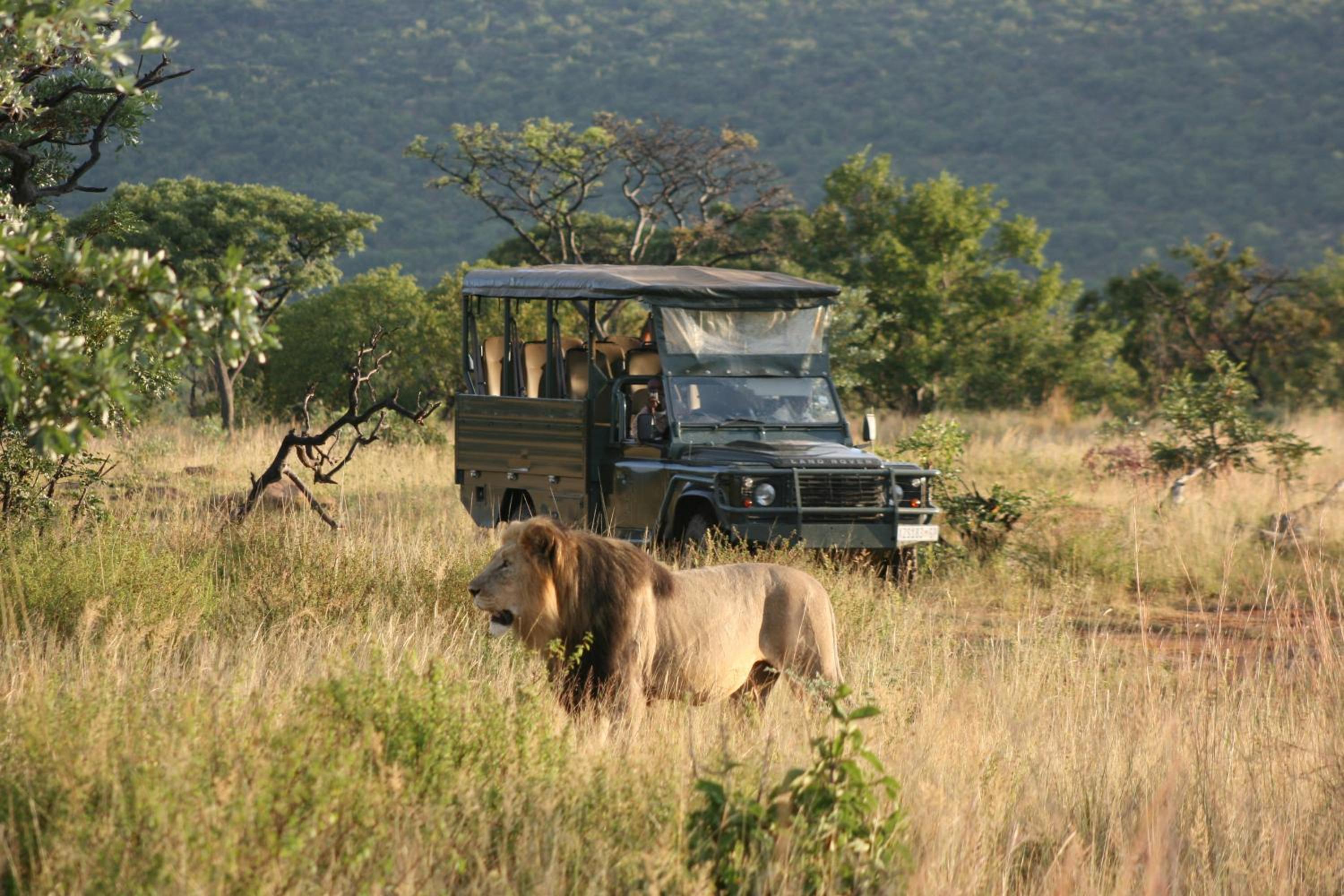 57 Waterberg