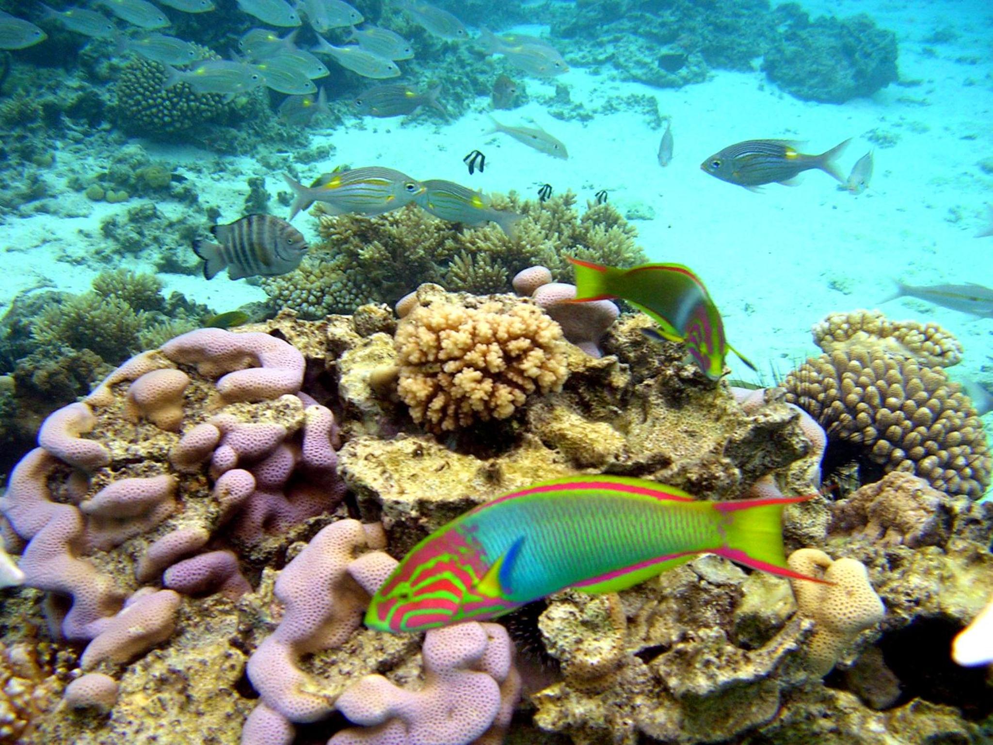 Photo 11