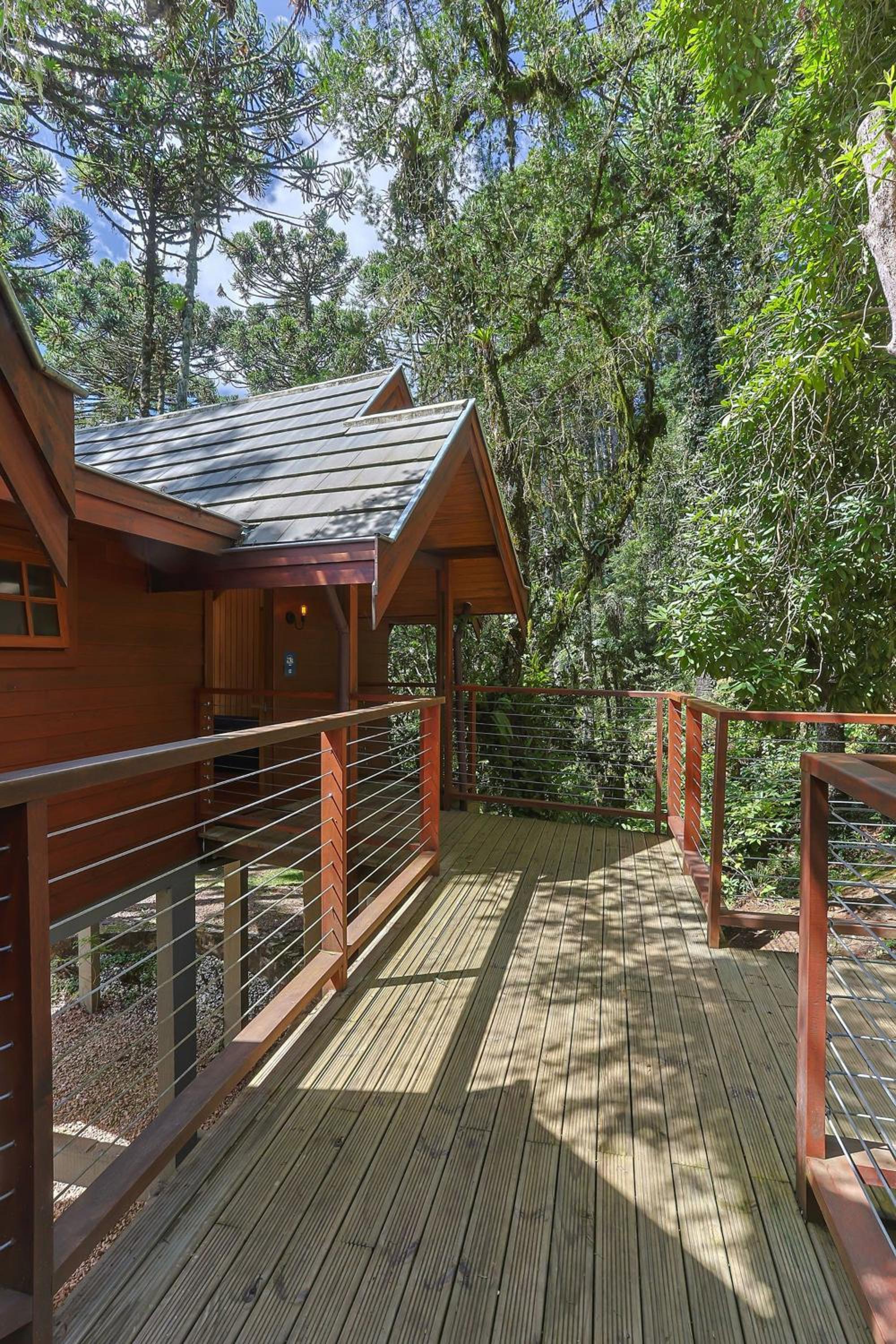 Cabana Suspensa na Natureza - Região Turística