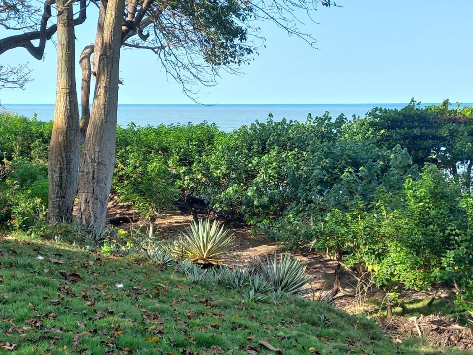 Pajarito Eco-Lodge frente al mar
