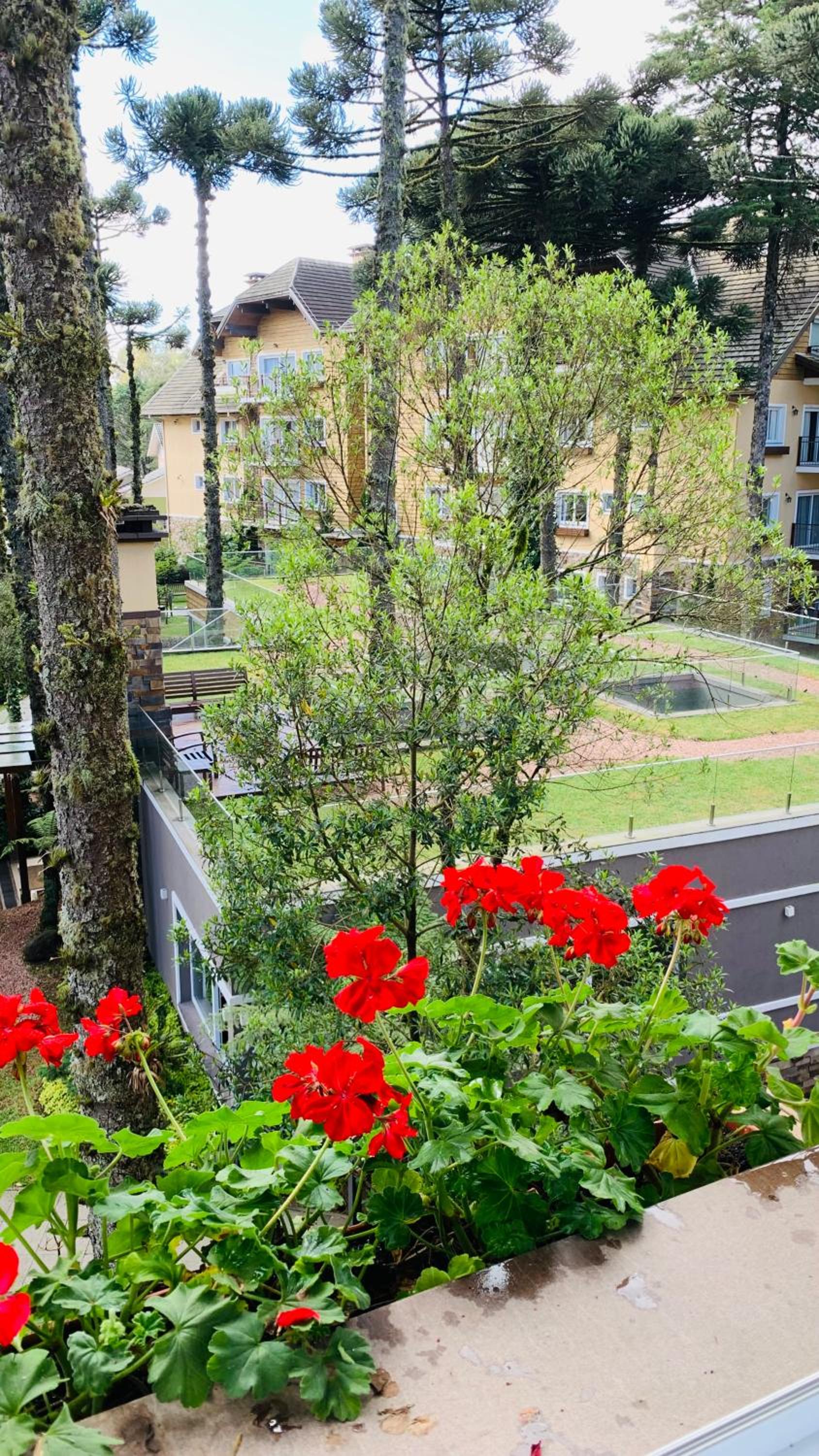 APTO LINDO CONDOMINIO COM PISCINA
