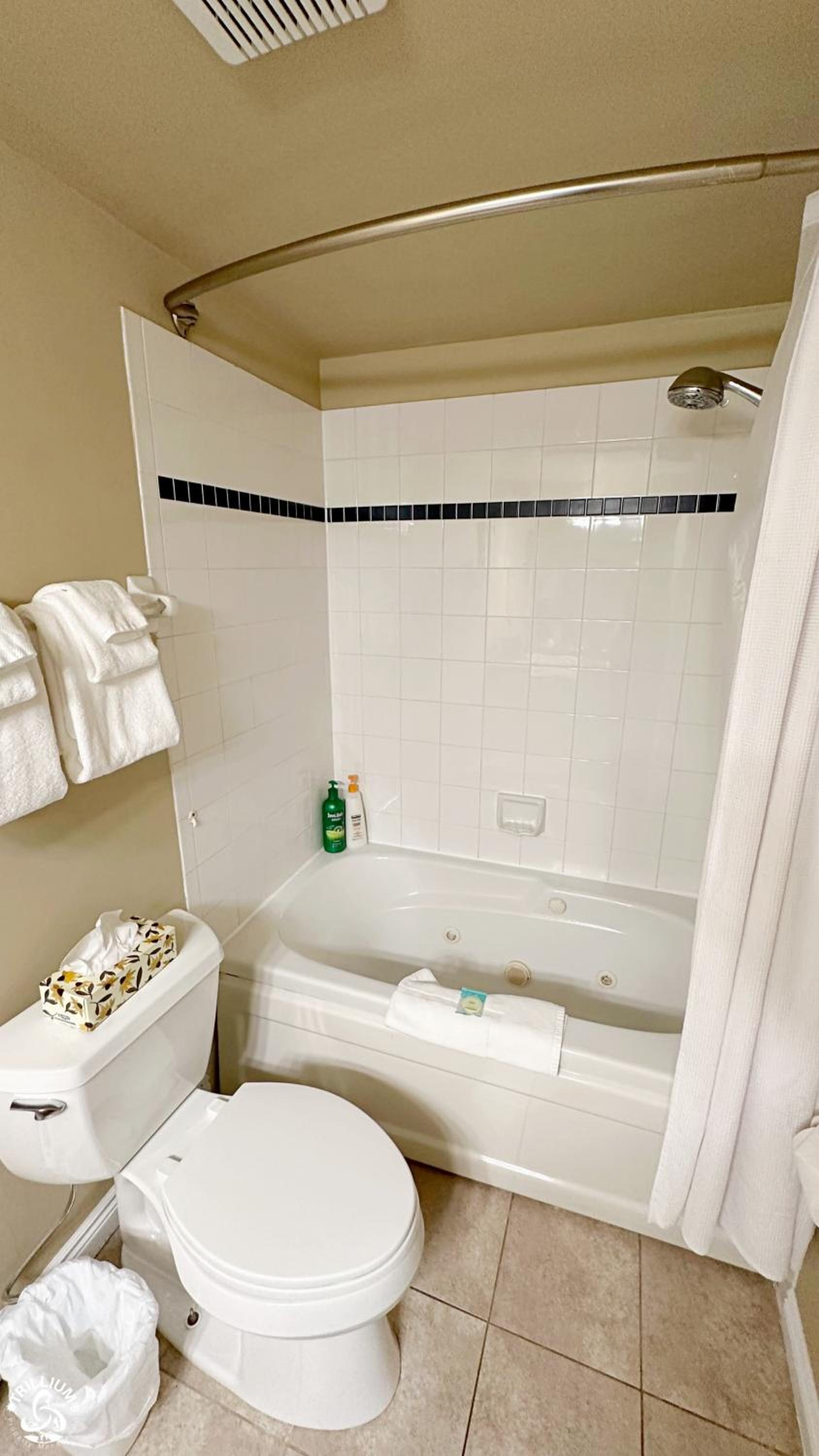 Blue Mtn 1 Bedroom with Mountain View