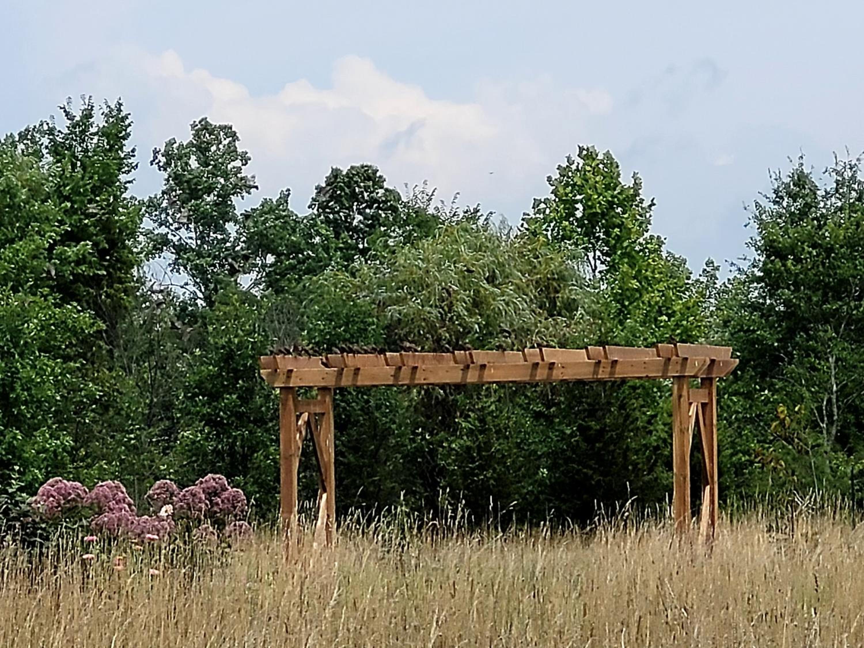 The Walnut Grove BnB