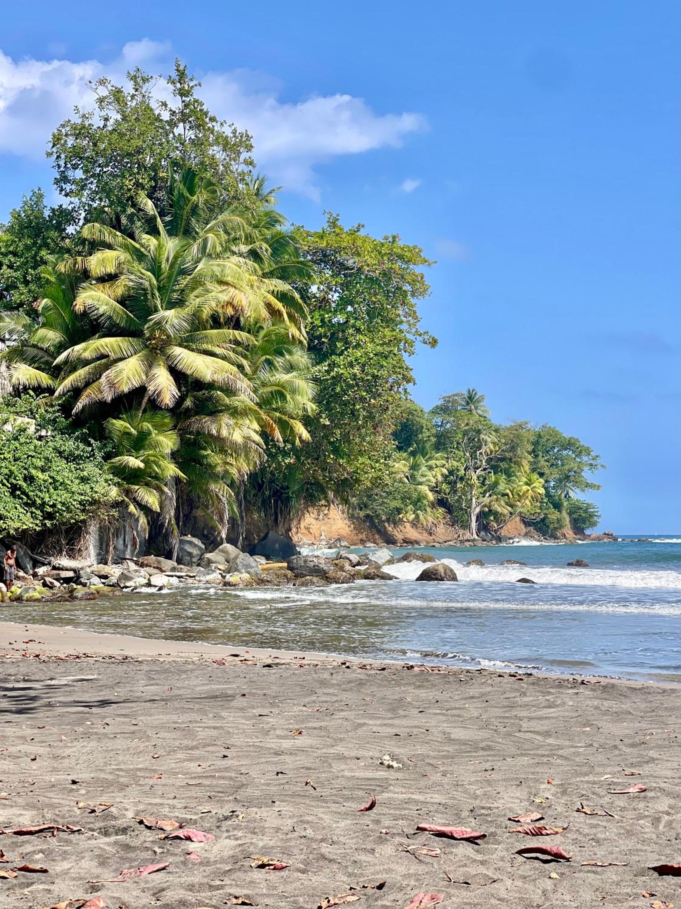Vida Verde, vue sur mer view 5